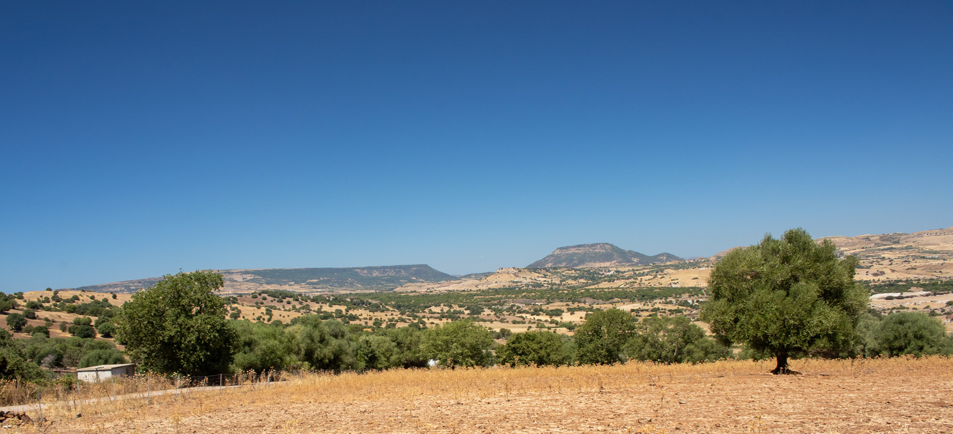 IMG_4830-2.jpg