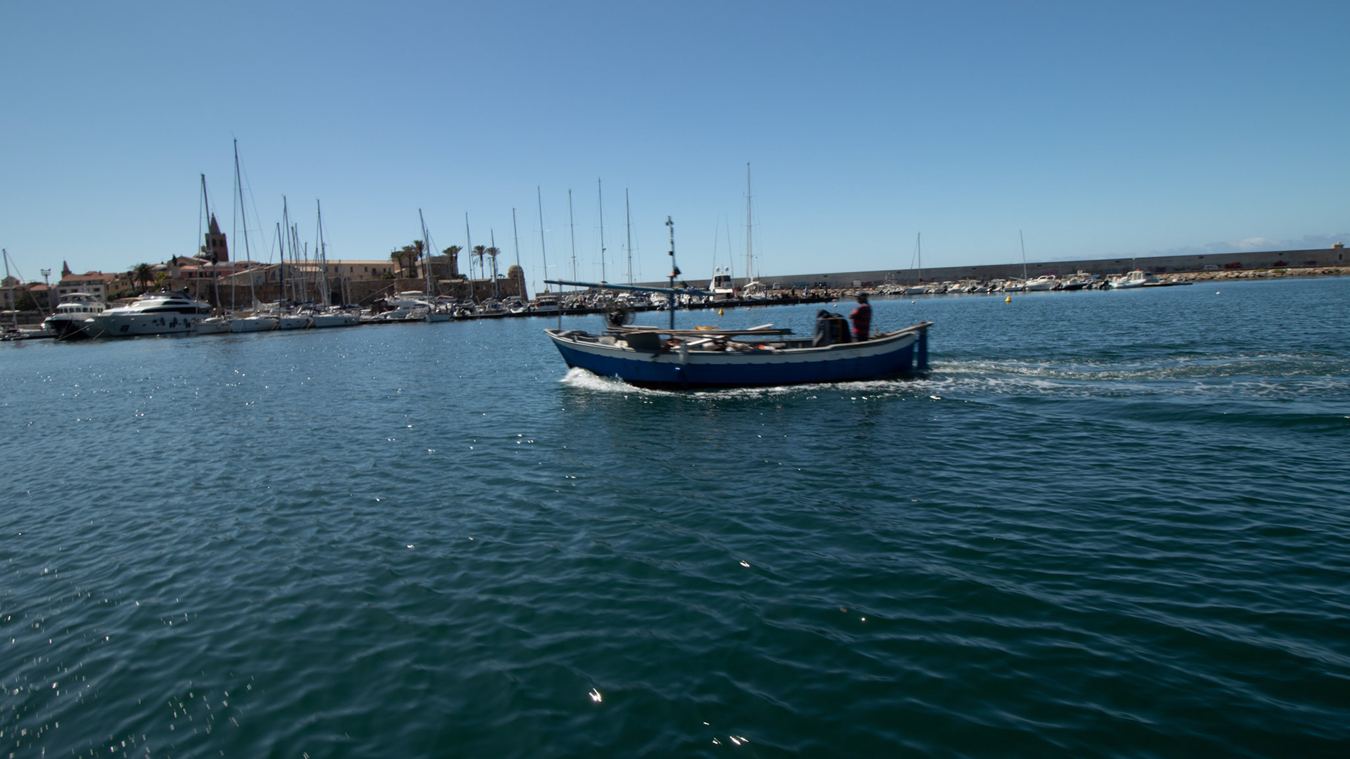 IMG_4520.jpg