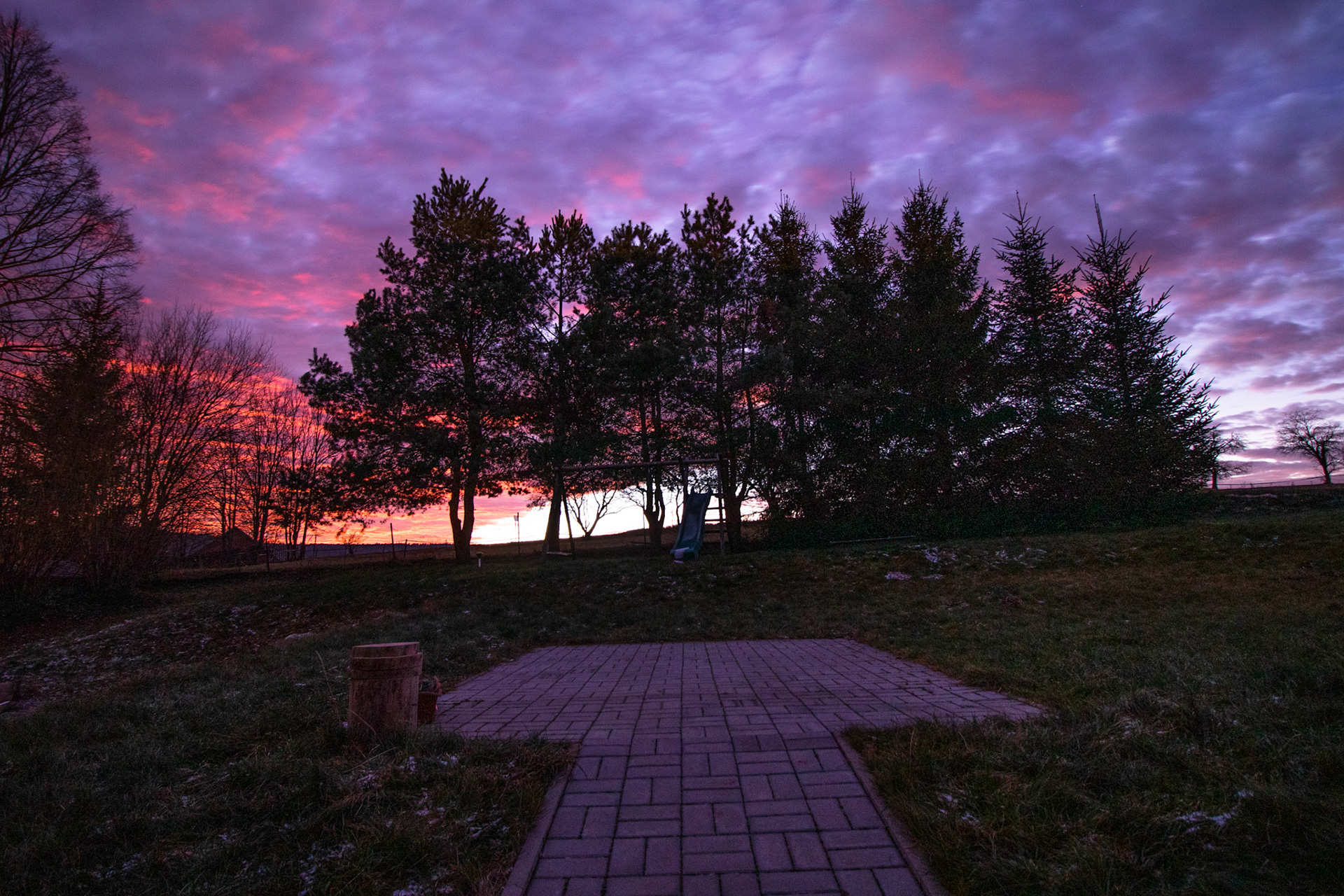_MG_7138.jpg
