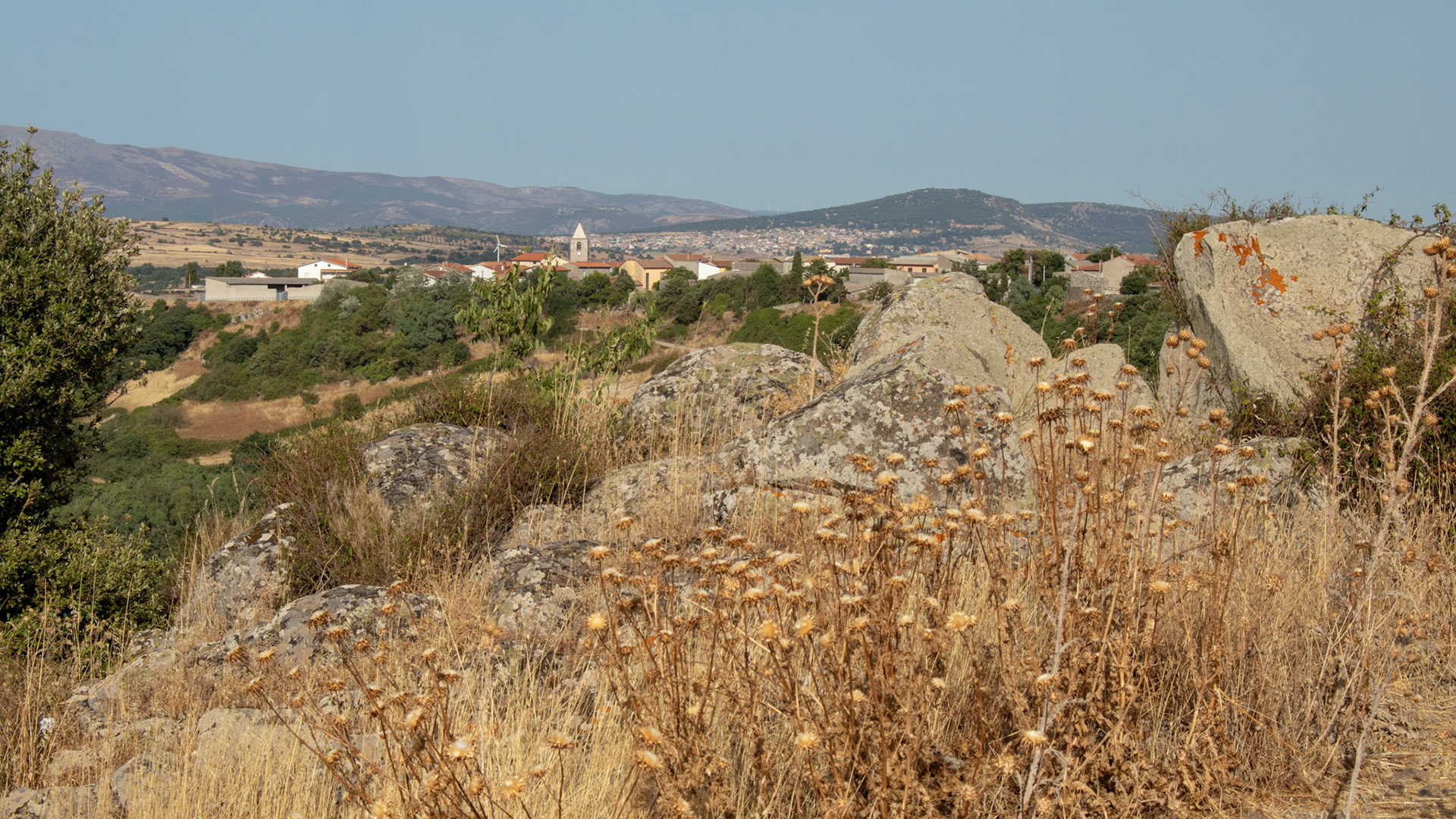 IMG_5078.jpg