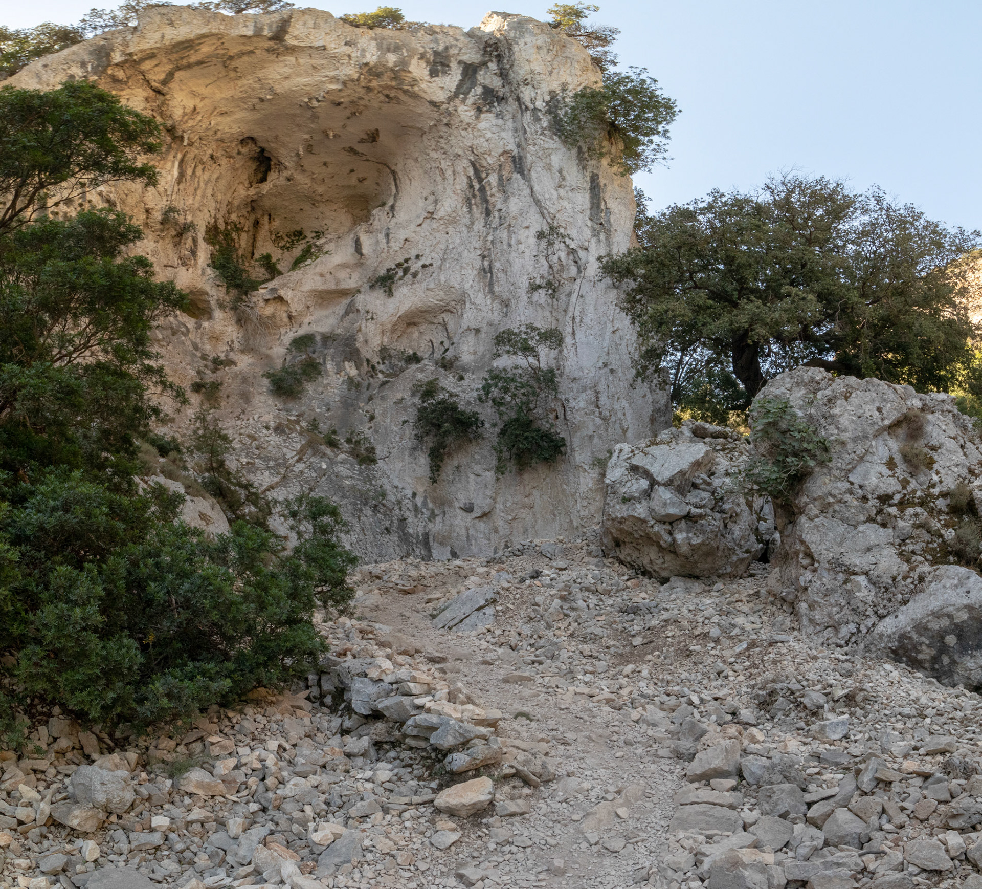 IMG_5469-Pano.jpg