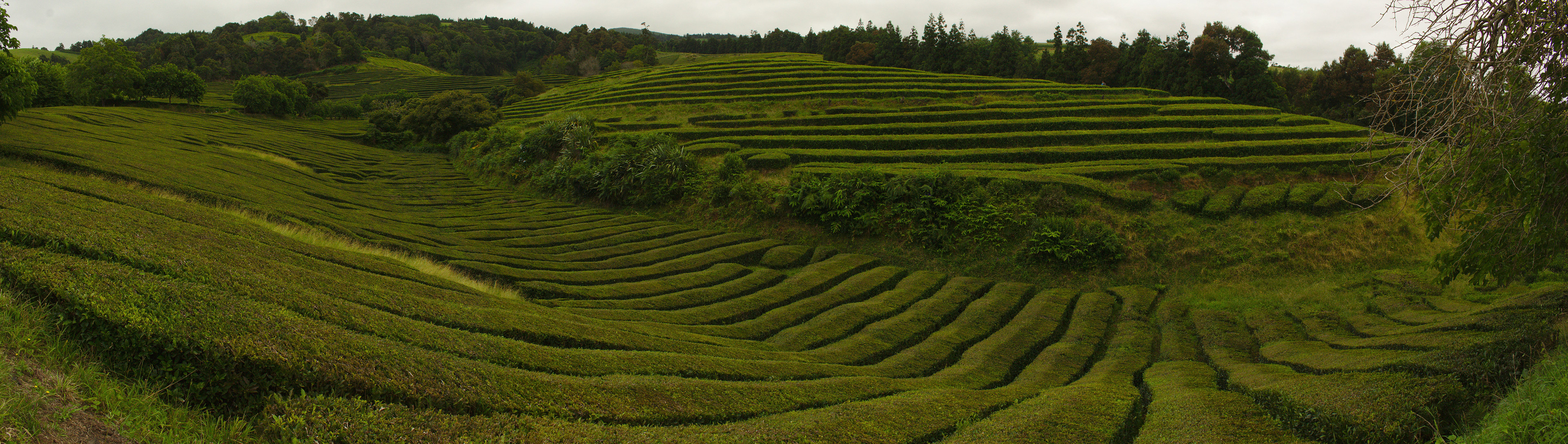 IMG_7965 - IMG_7968.jpg