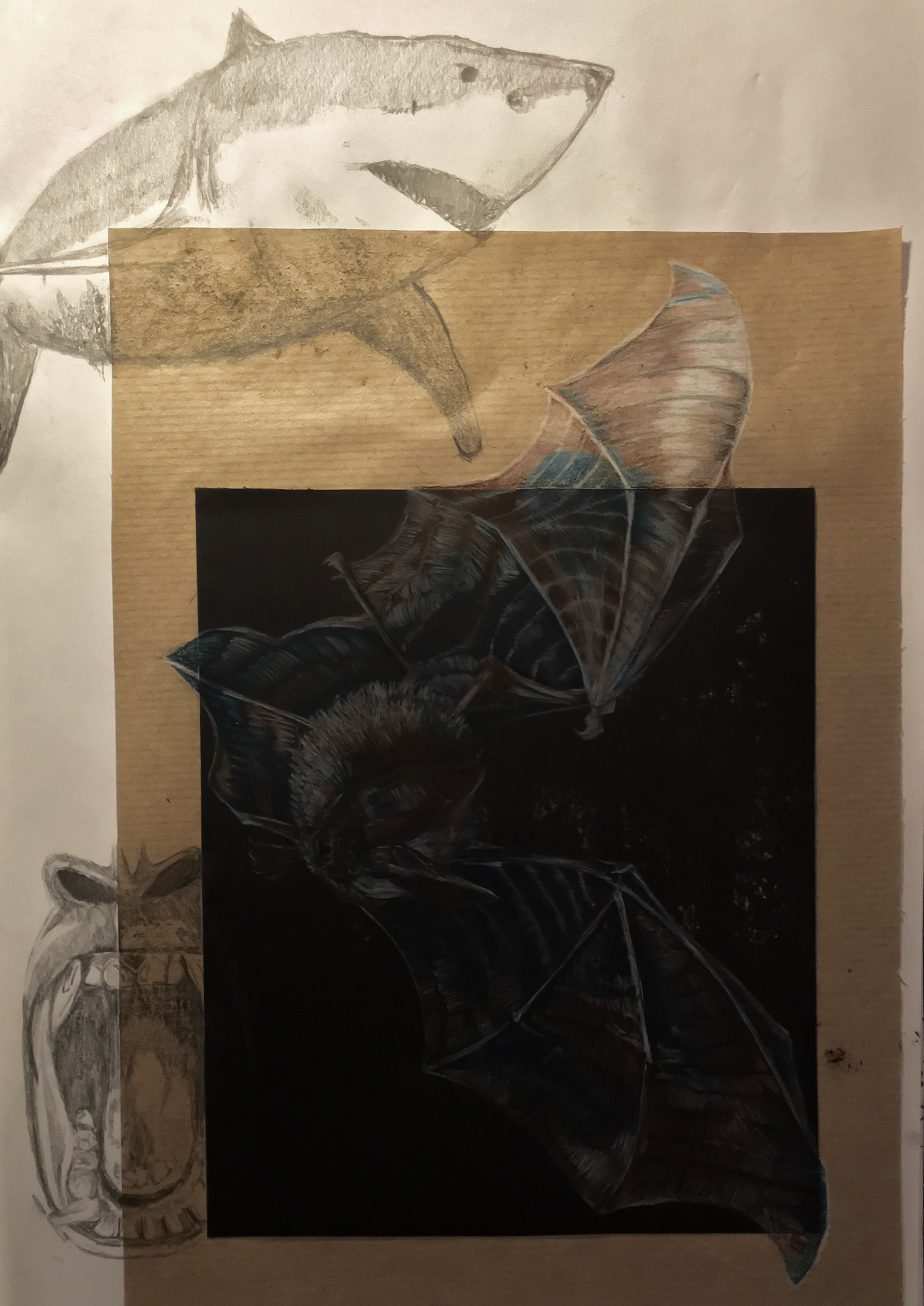 Pencil Sketches - Study of Shark, Bat and Gorilla's Mouth, 2016