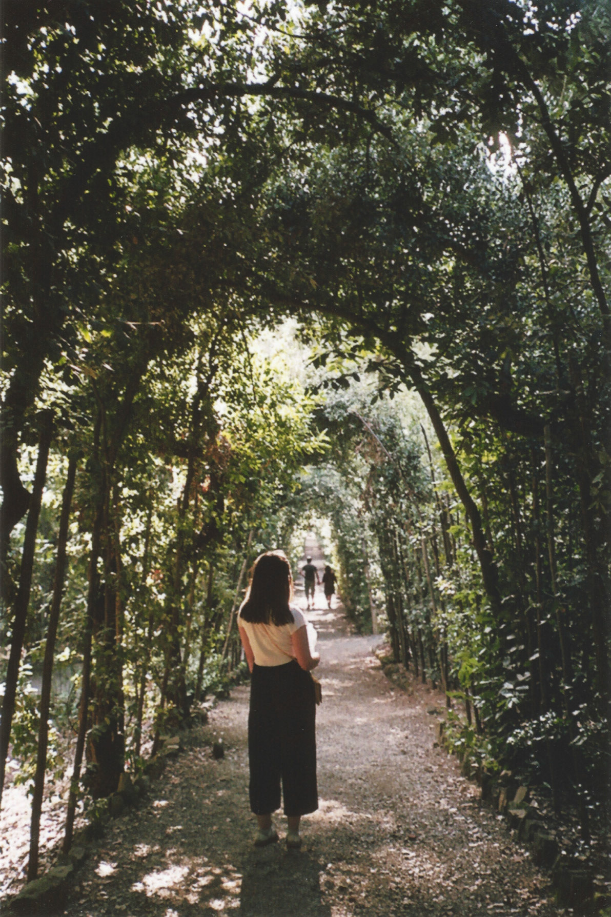 Boboli Gardens - Florence Italy, 2019