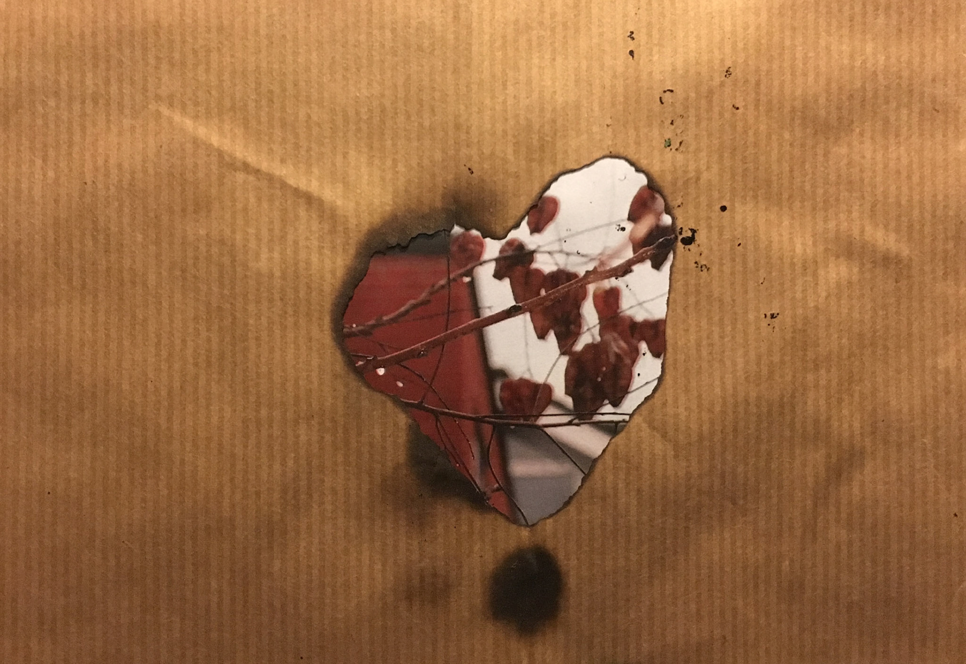 Damien Hirst Inspired Mixed Media, 2015