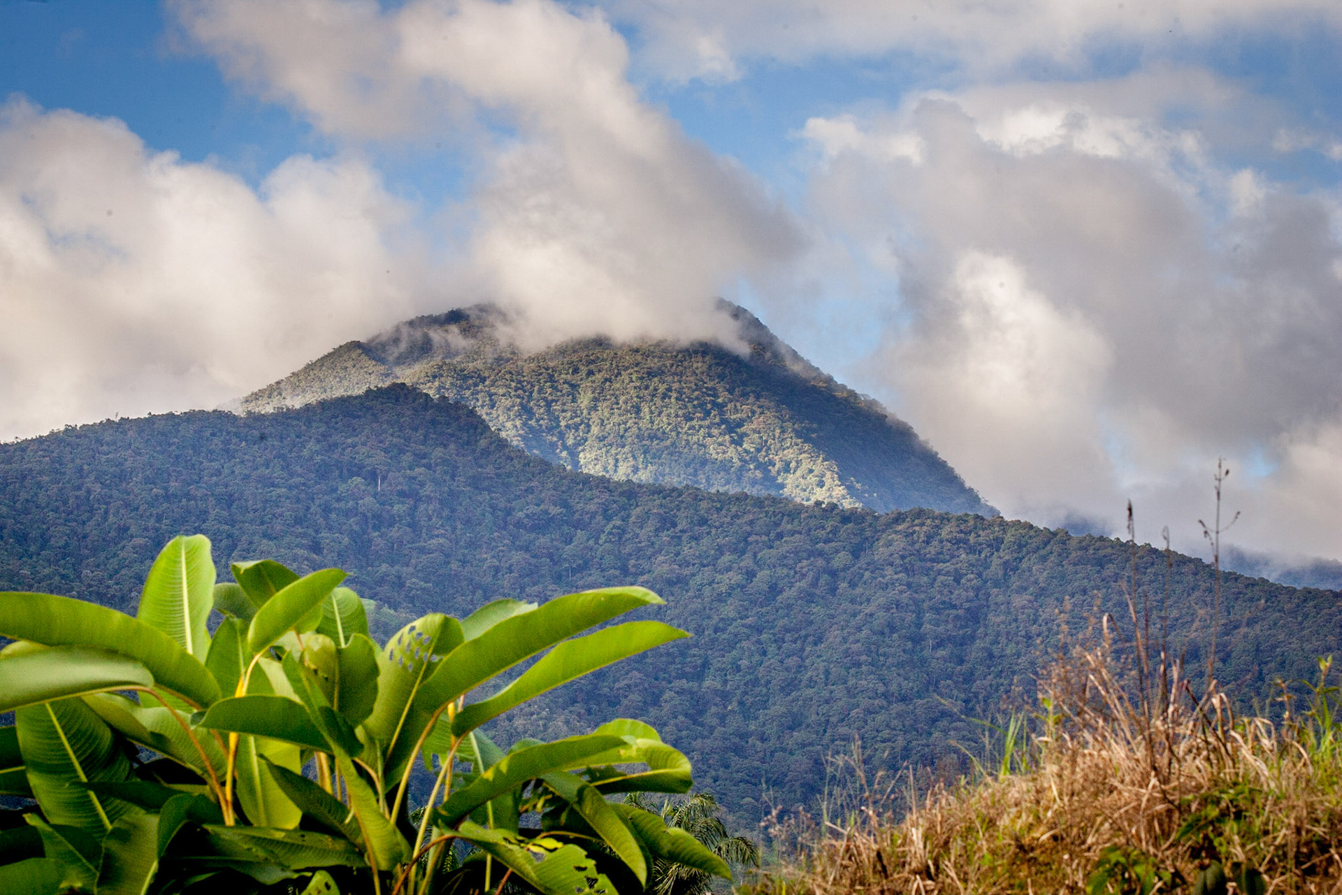 Zamora Ecuador