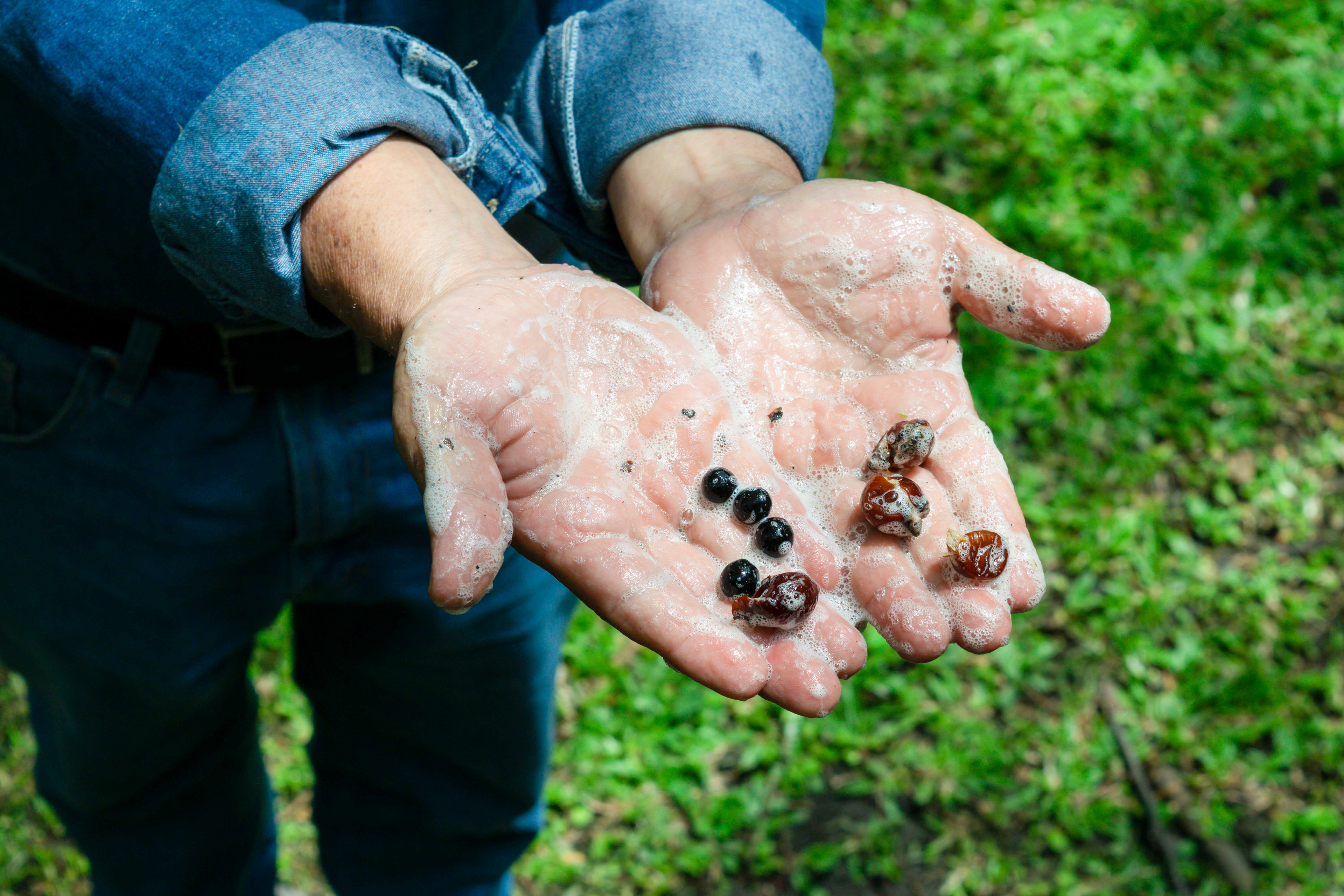 Fully sustainable laundry detergent