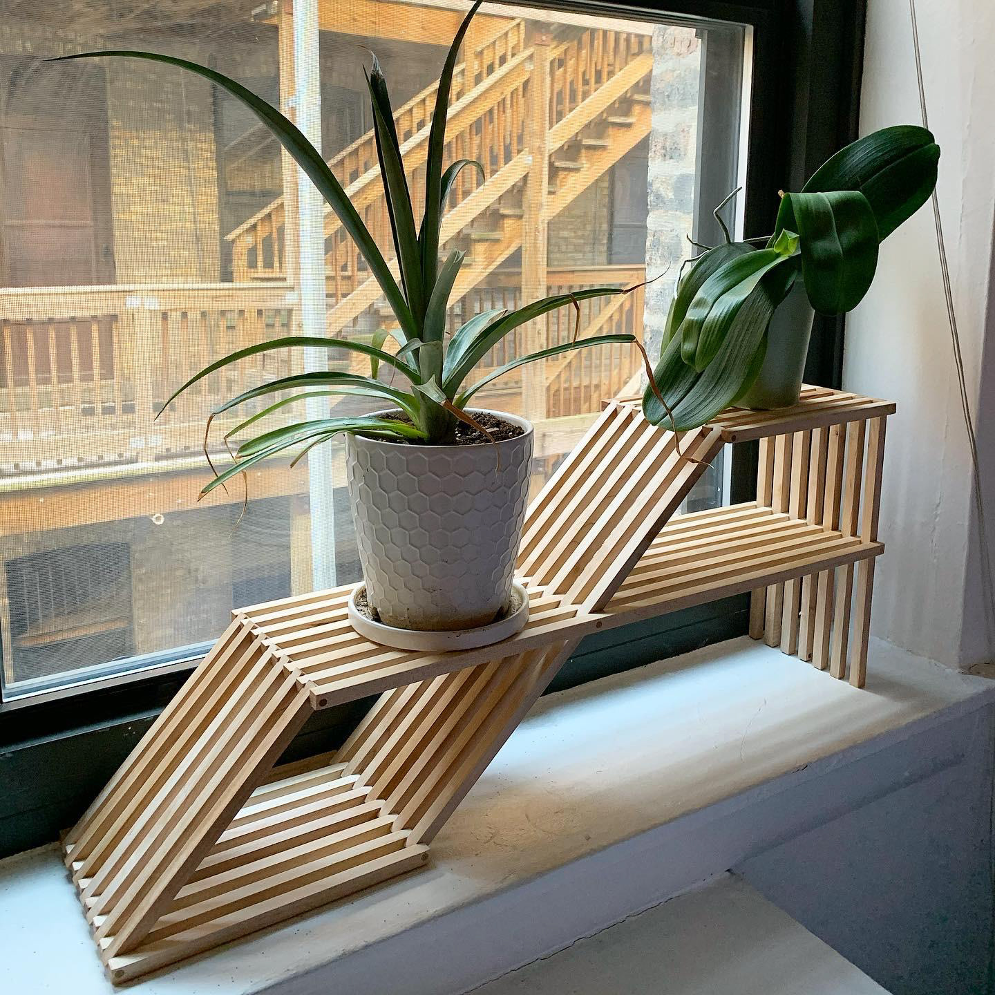 Maple Plant Stand. 2020.