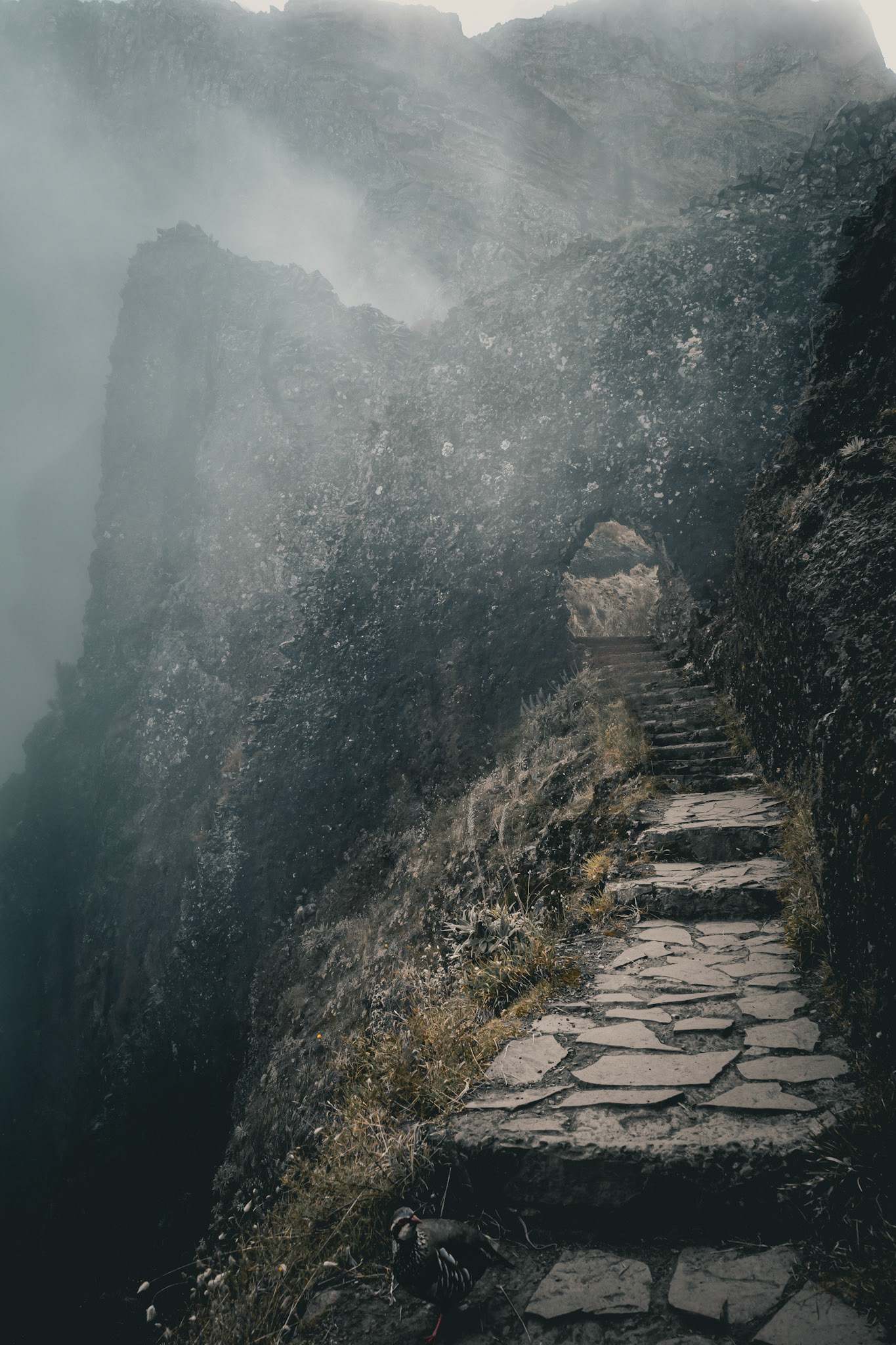 The pass of Caradhras