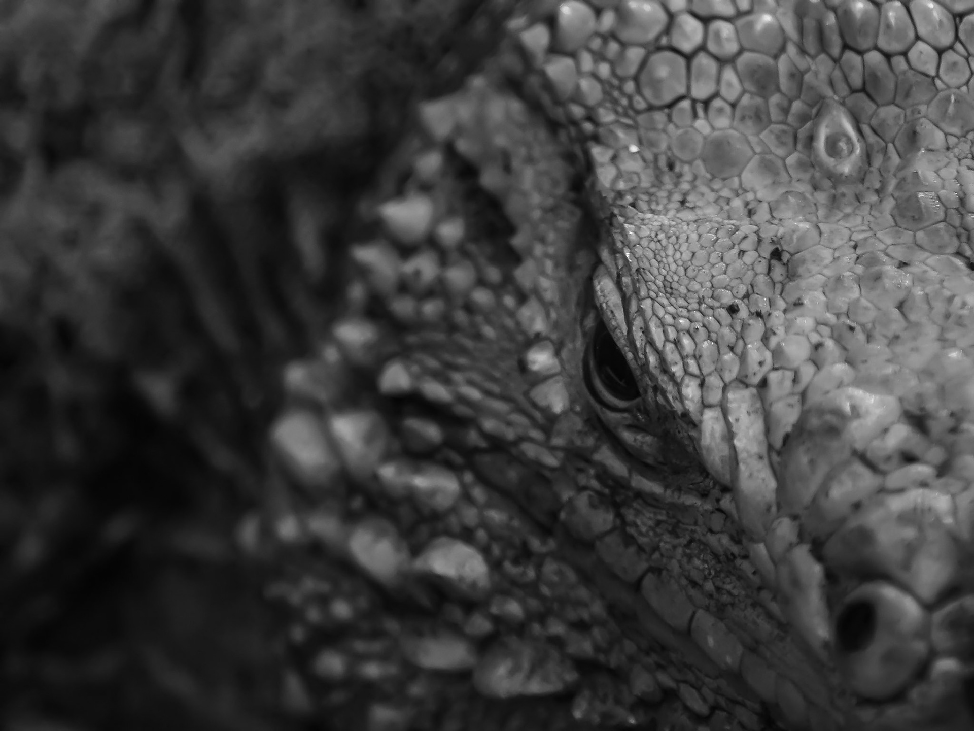 Regard d'une autre ère