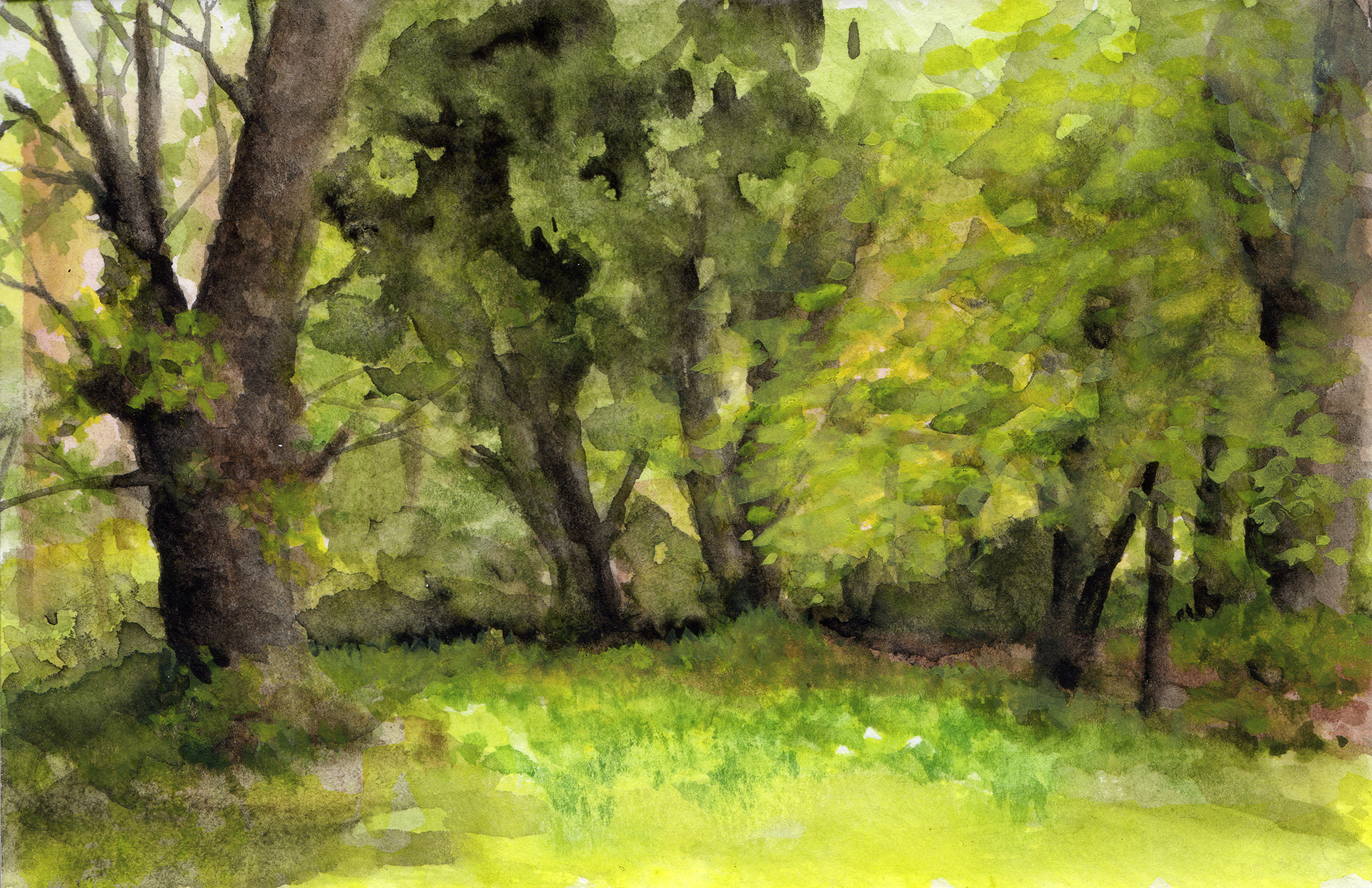 Henry's Trees, Watercolor, 4"x6", SOLD