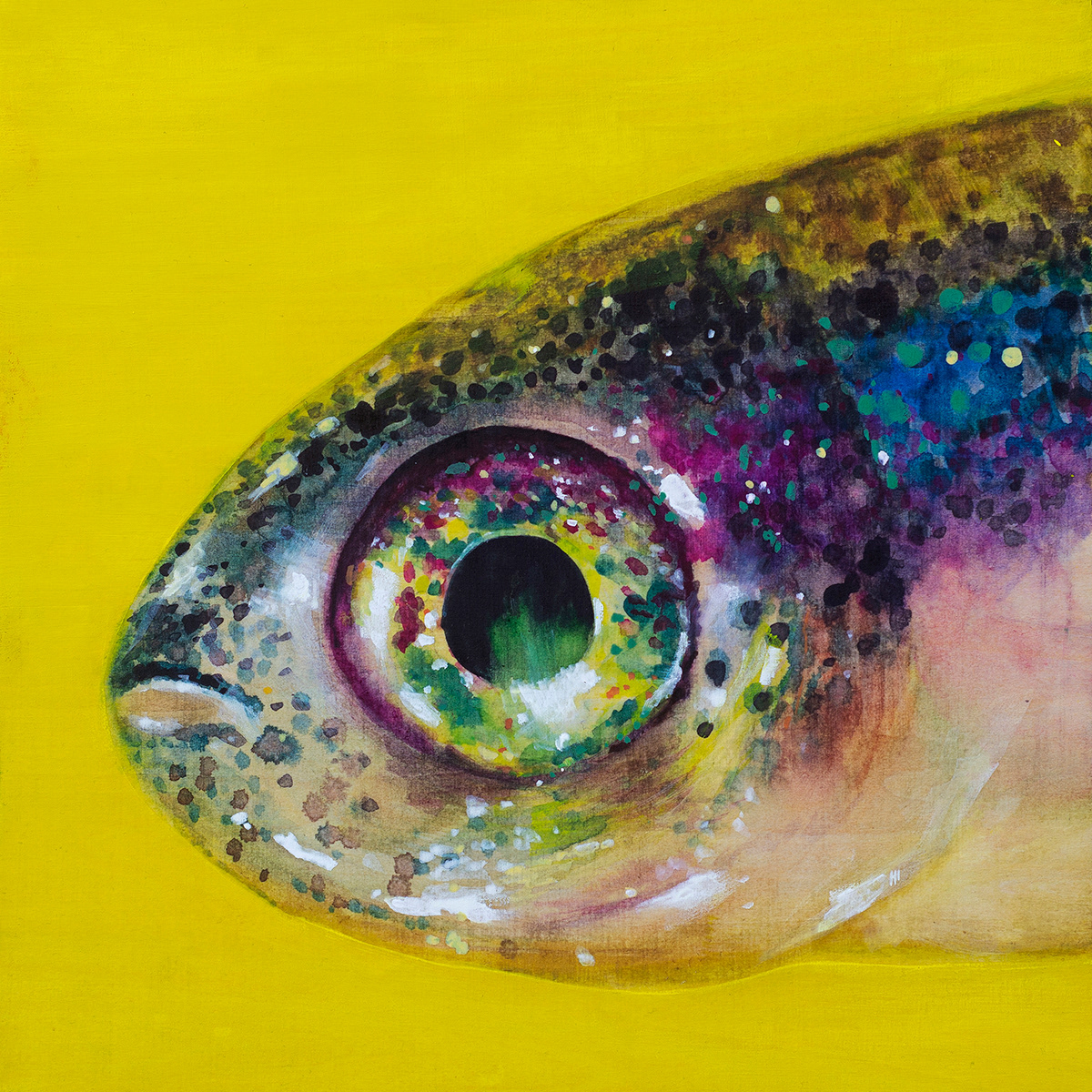 Yellow Fish, Watercolor & Gouache, 12"x12" • NFS