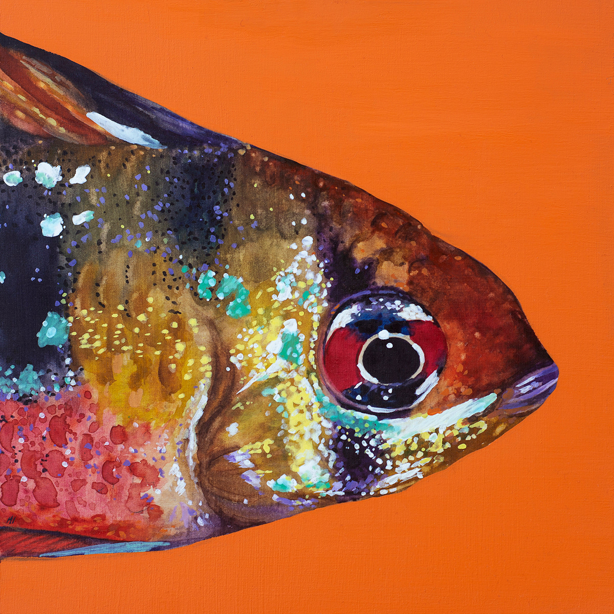 Orange Fish, Watercolor & Gouache, 12"x12" • SOLD