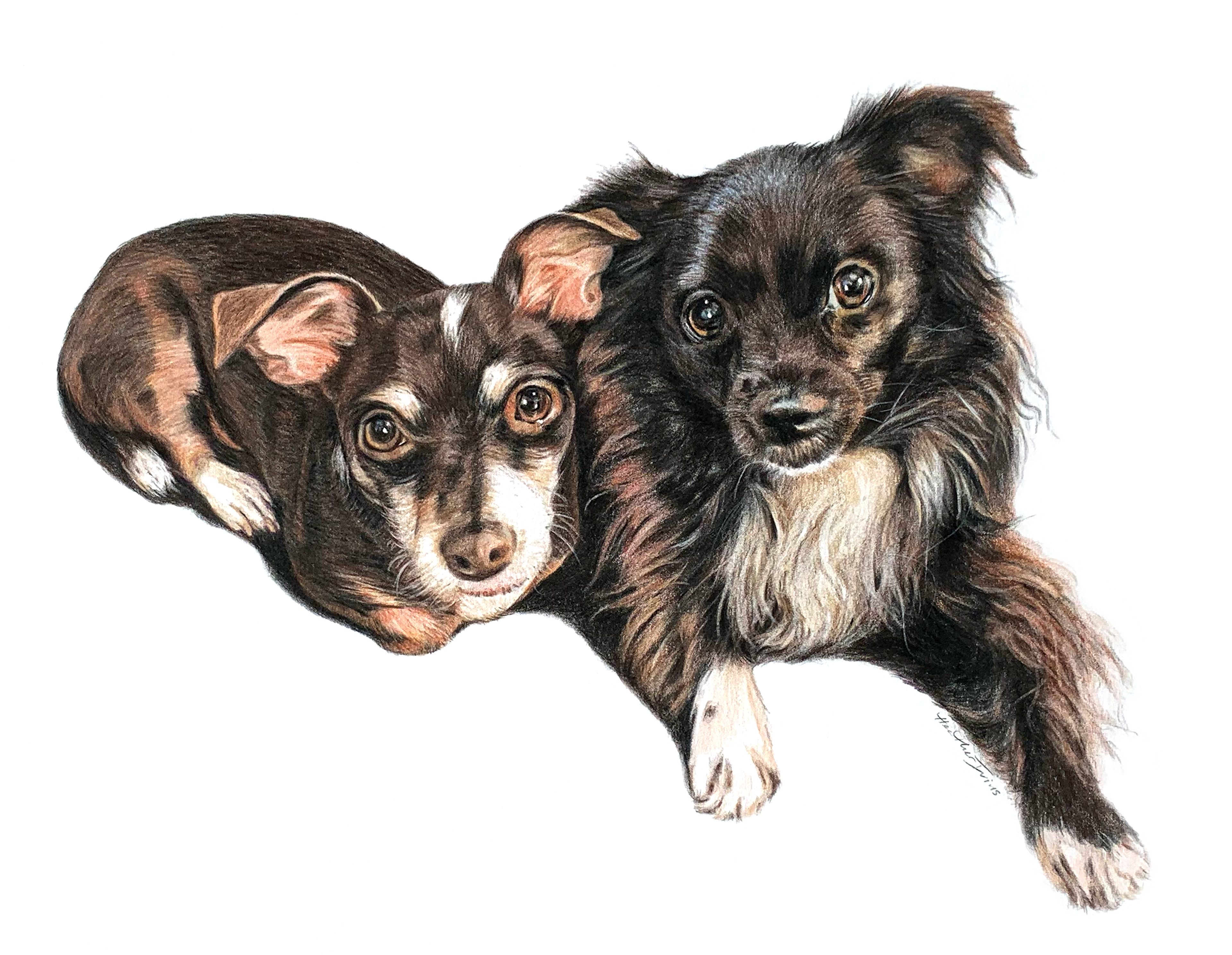 Petey & Petina, Colored Pencil, 11"x14" • SOLD