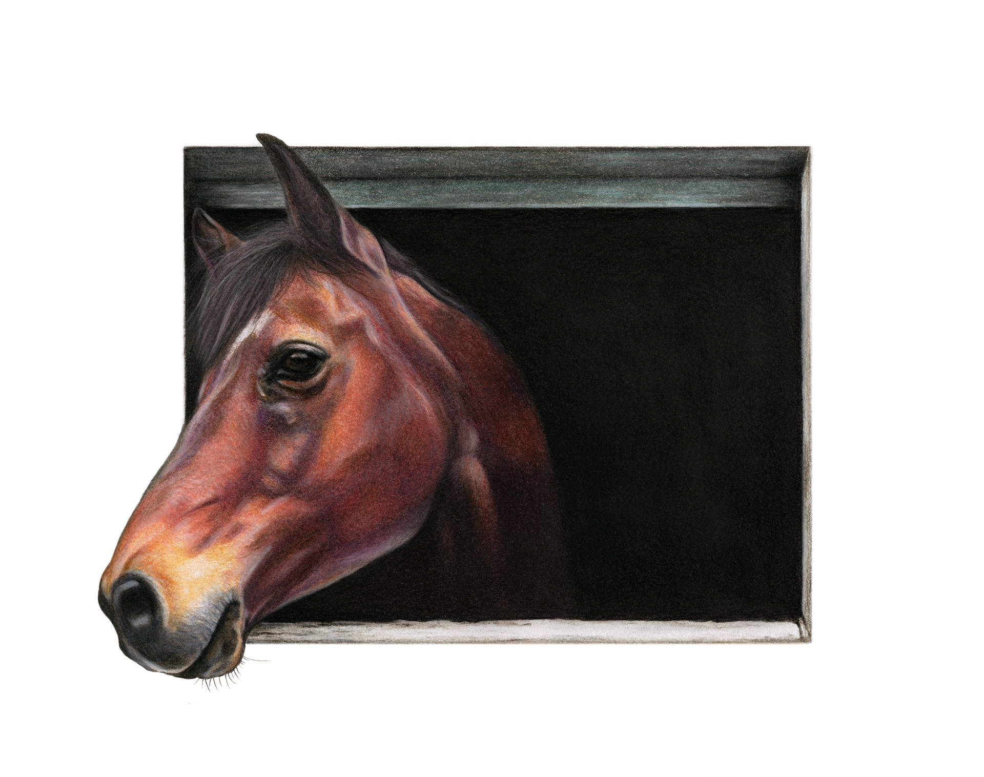 Jetstream, Colored Pencil, 8"x10" • SOLD