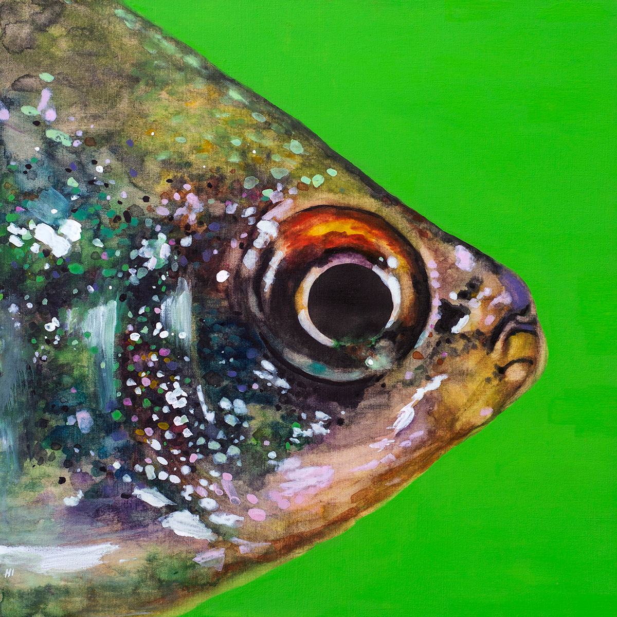 Green Fish, Watercolor & Gouache, 12"x12"