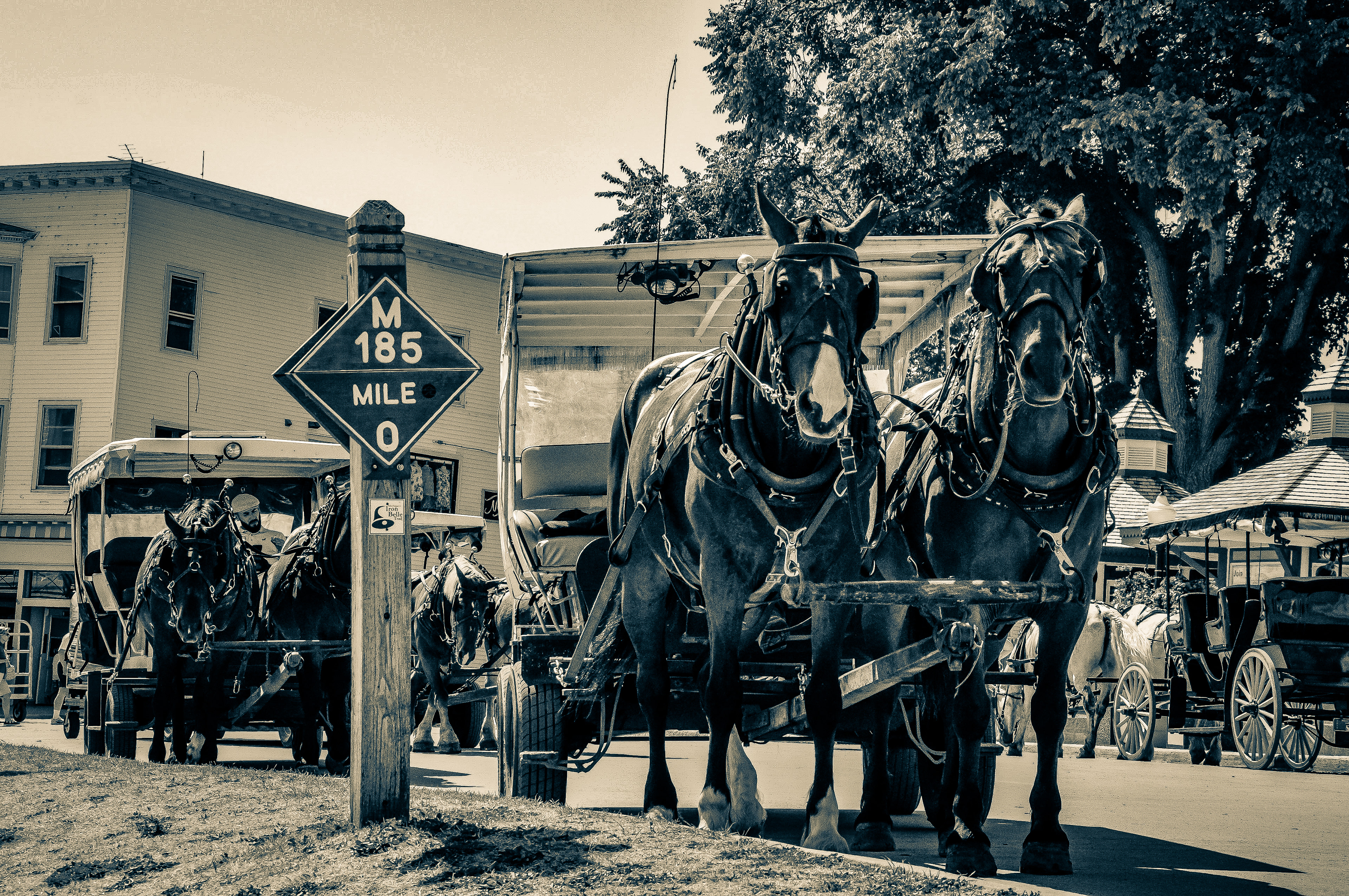 Mackinac Island horses; Mackinac Island, MI. July 2018