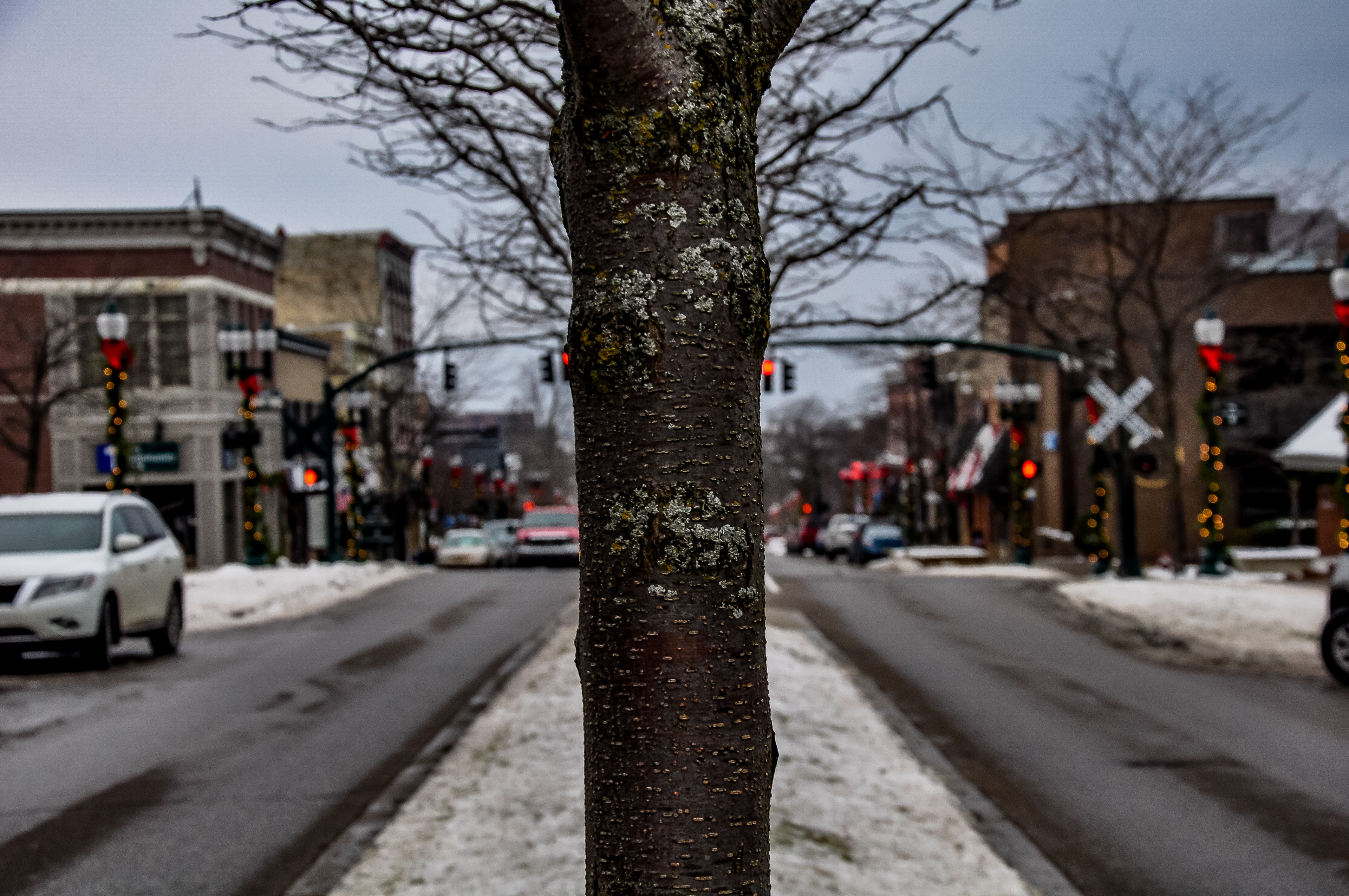 Downtown Petoskey, MI, December 2018