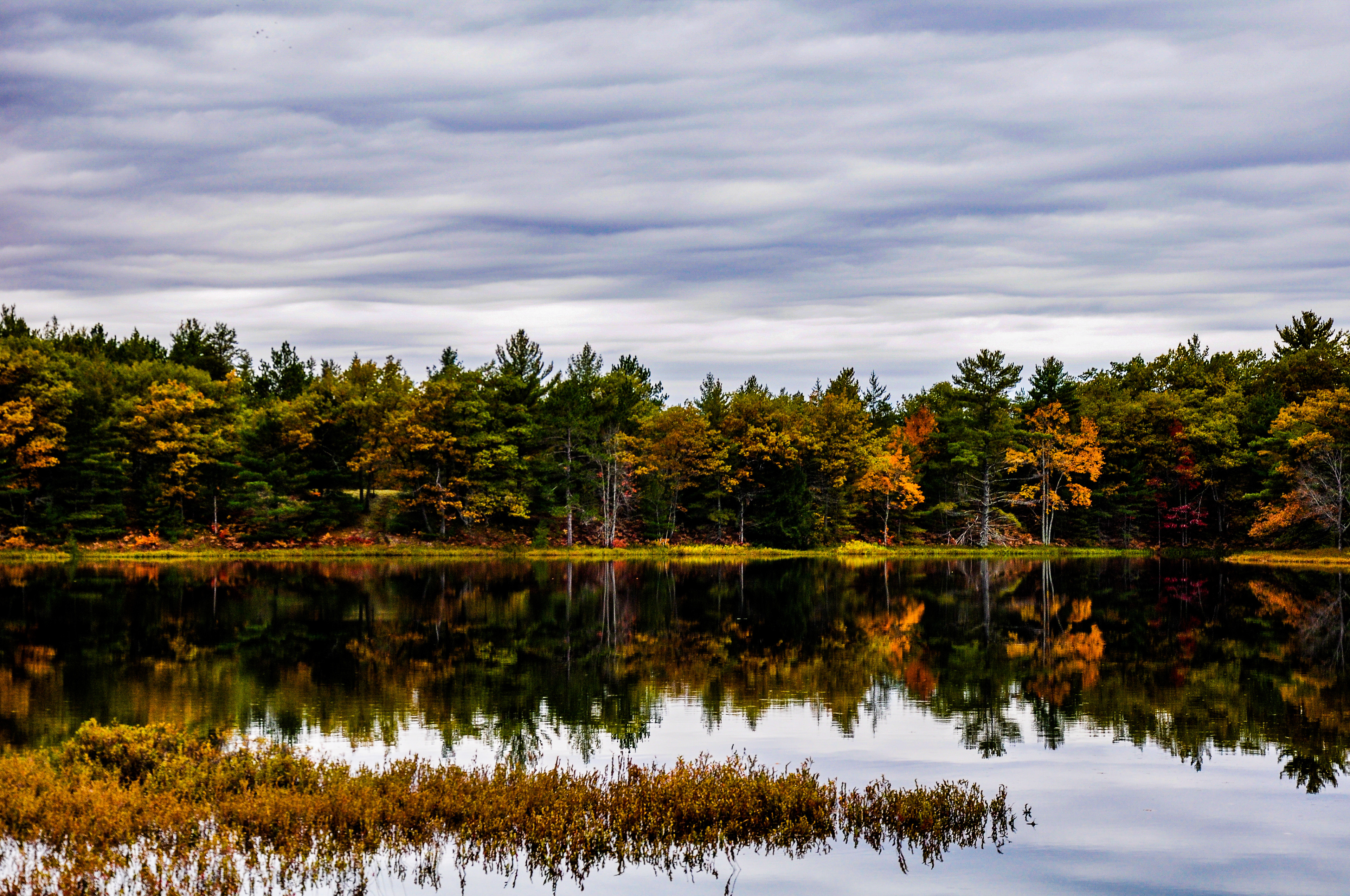 Tahquamenon River; Paradise, MI. October 2019
