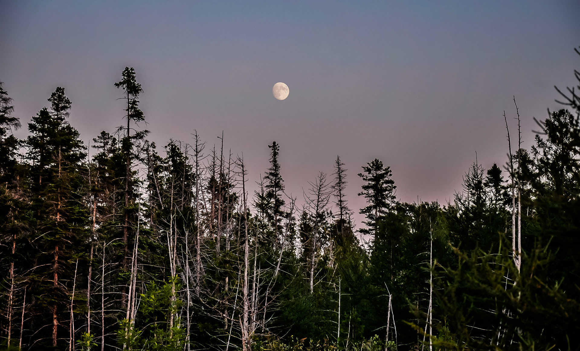 Moon in the early evening; Mackinaw City, MI. August 2018