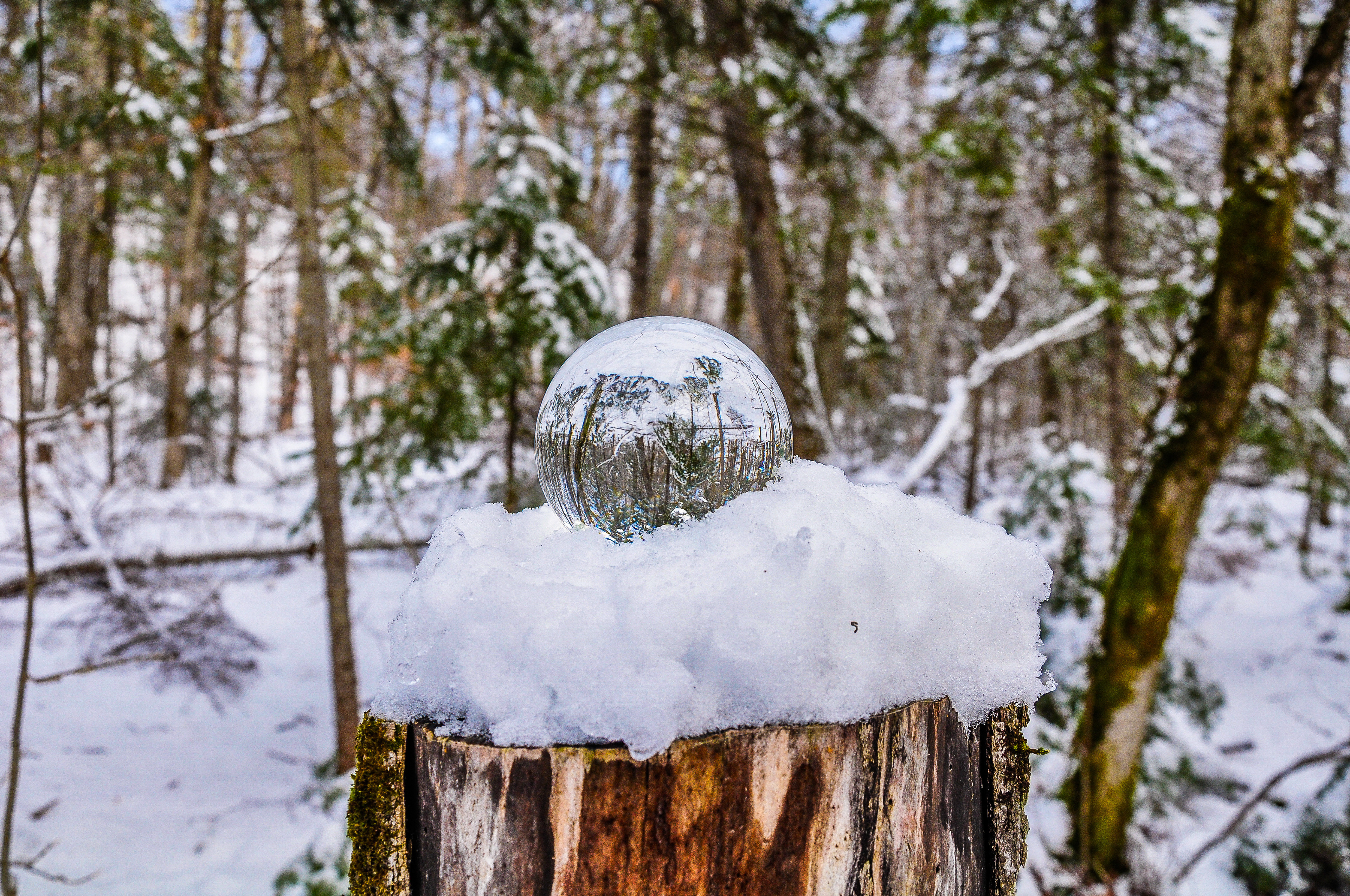 Crystal ball in the snow