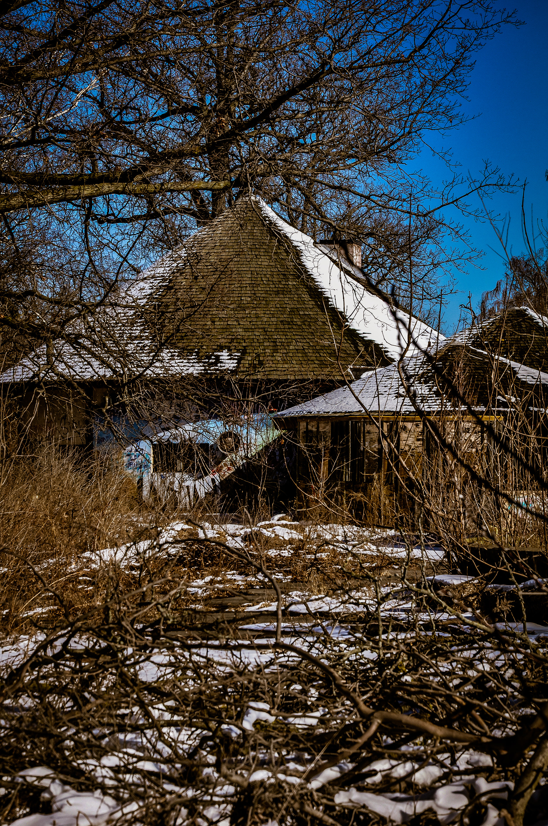 Belle Isle Abandoned Zoo; Detroit, MI. February 2020
