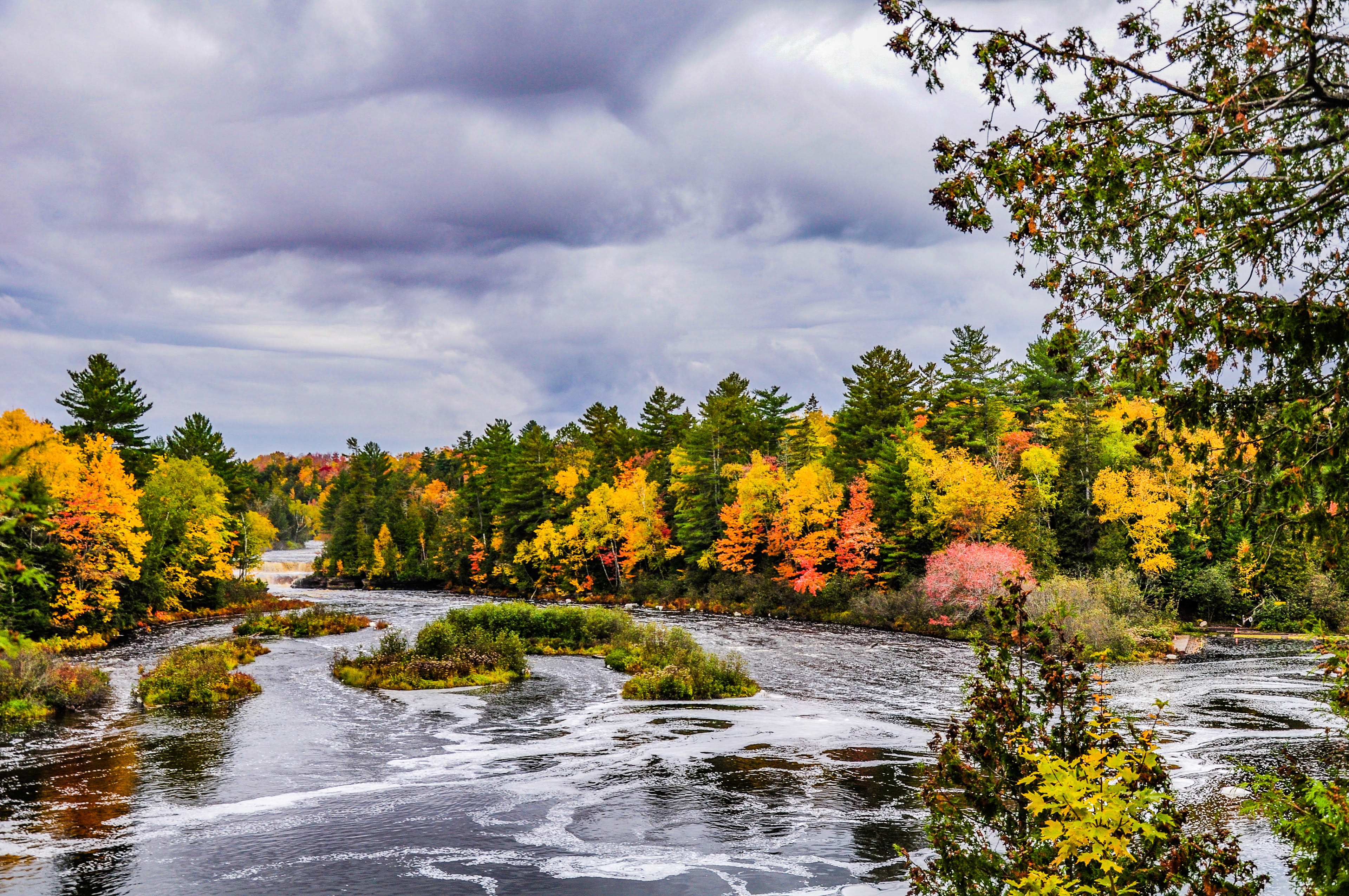 Tahquamenon River; Paradise, MI. October 2019