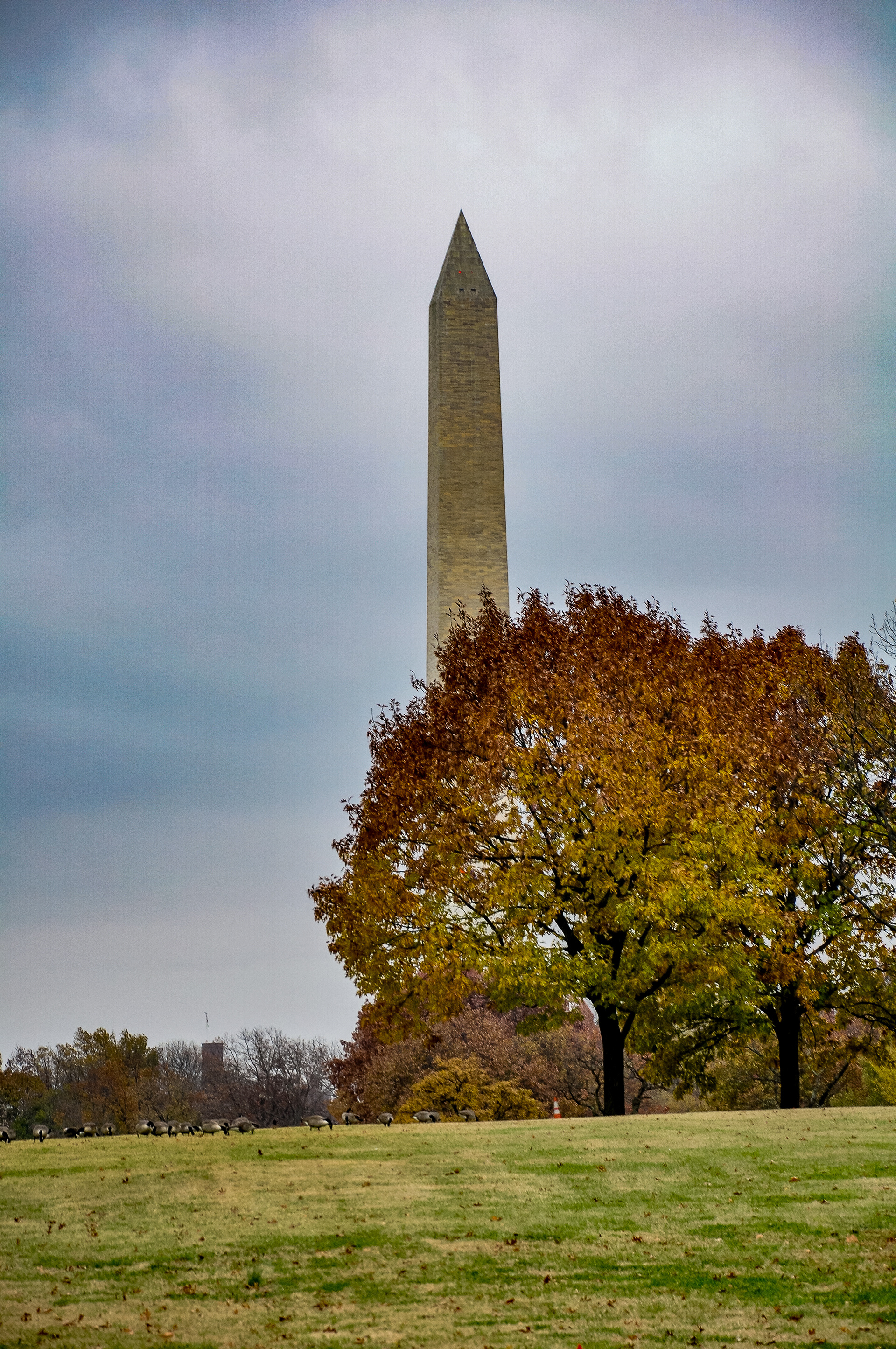 Washington Monument; Washington D.C. November 2018