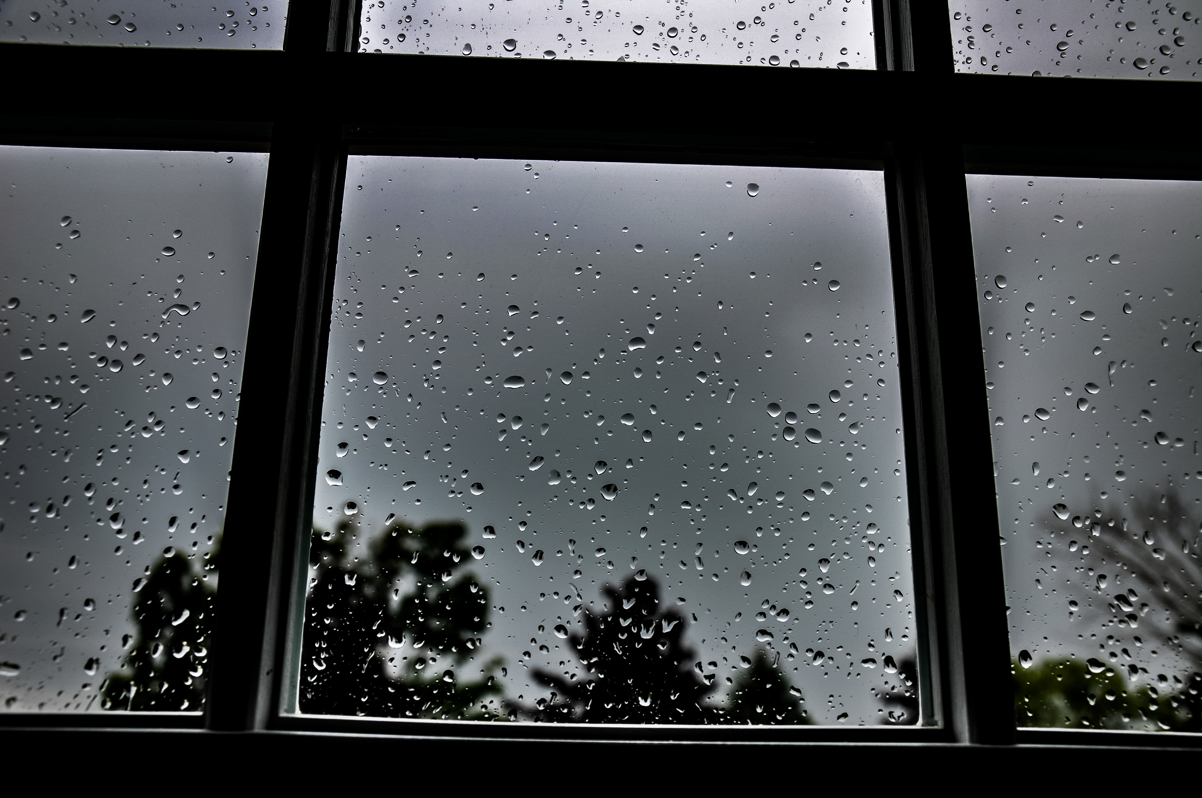 Raindrops on the window