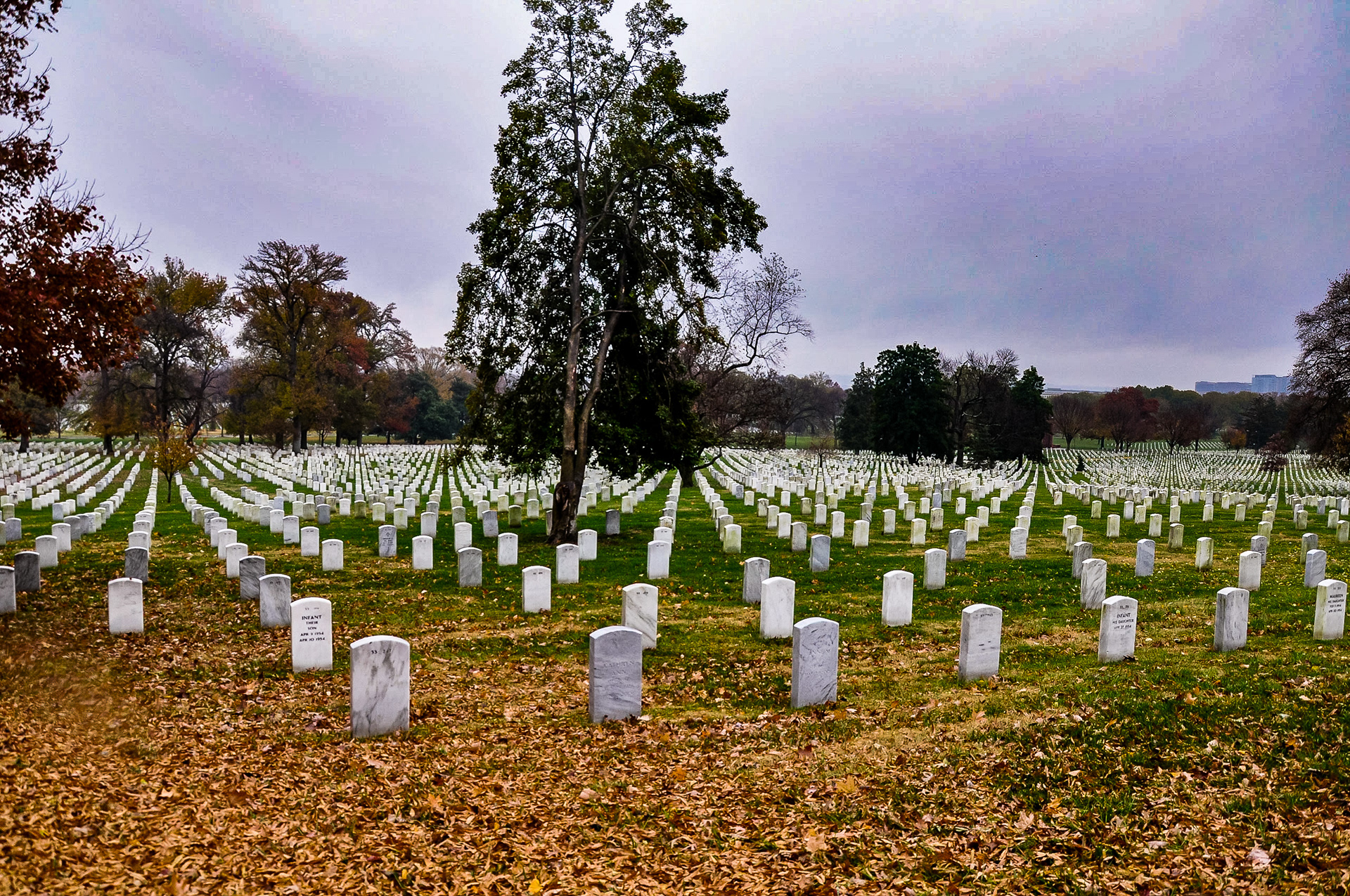 Arlington National Cemetary; Washington, D.C. November 2018