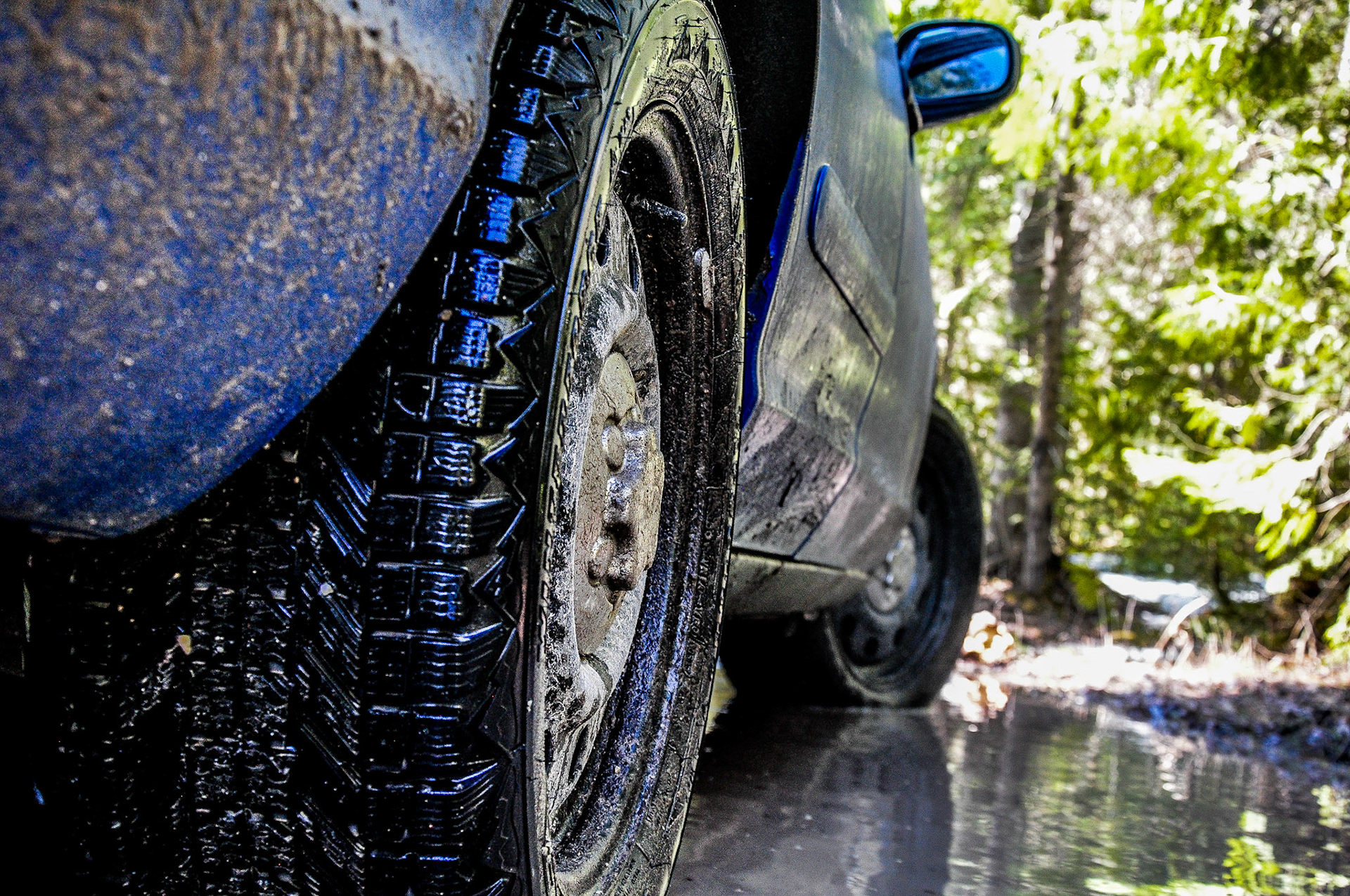I was almost sitting in a mud puddle to get this one...