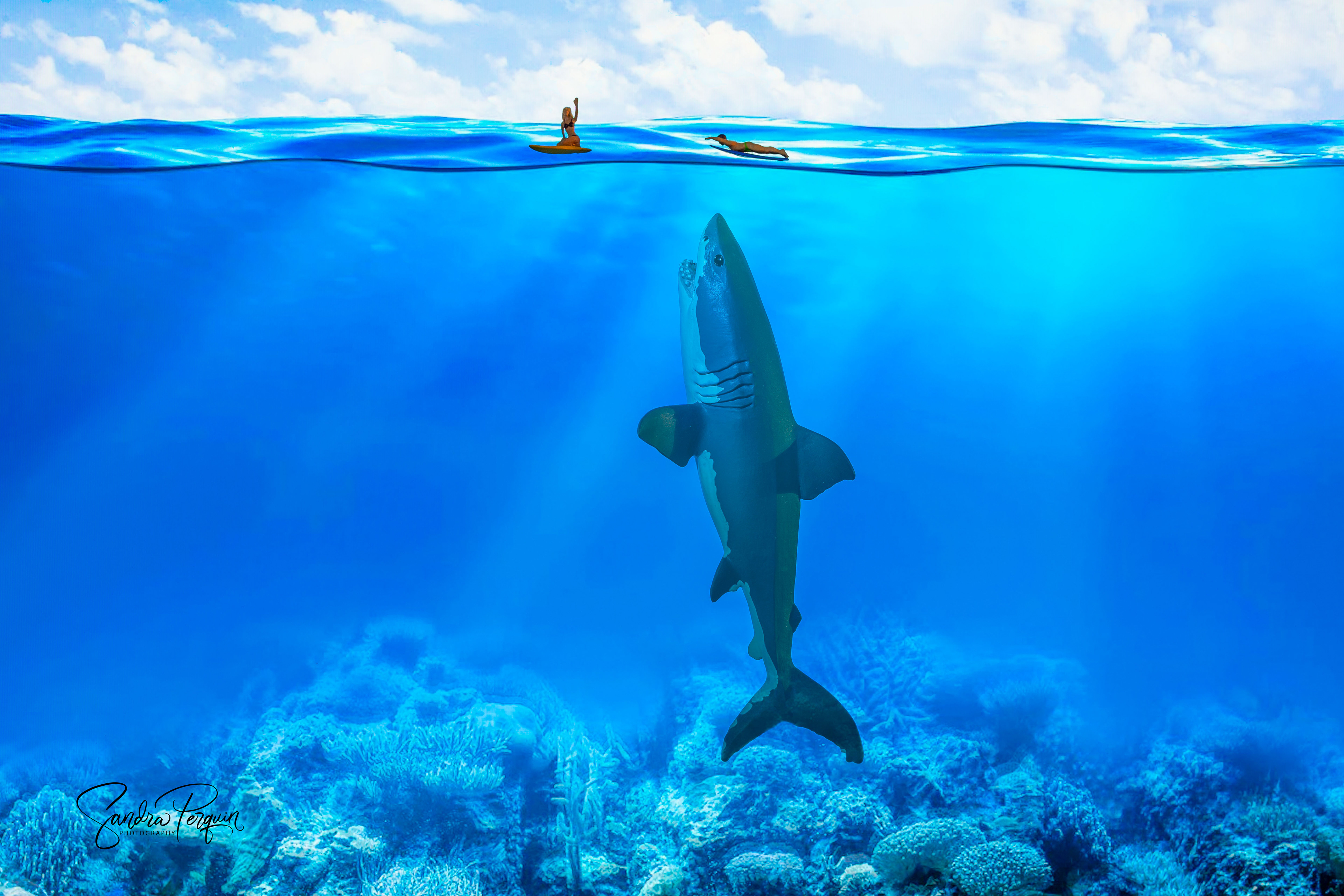 King of the sea