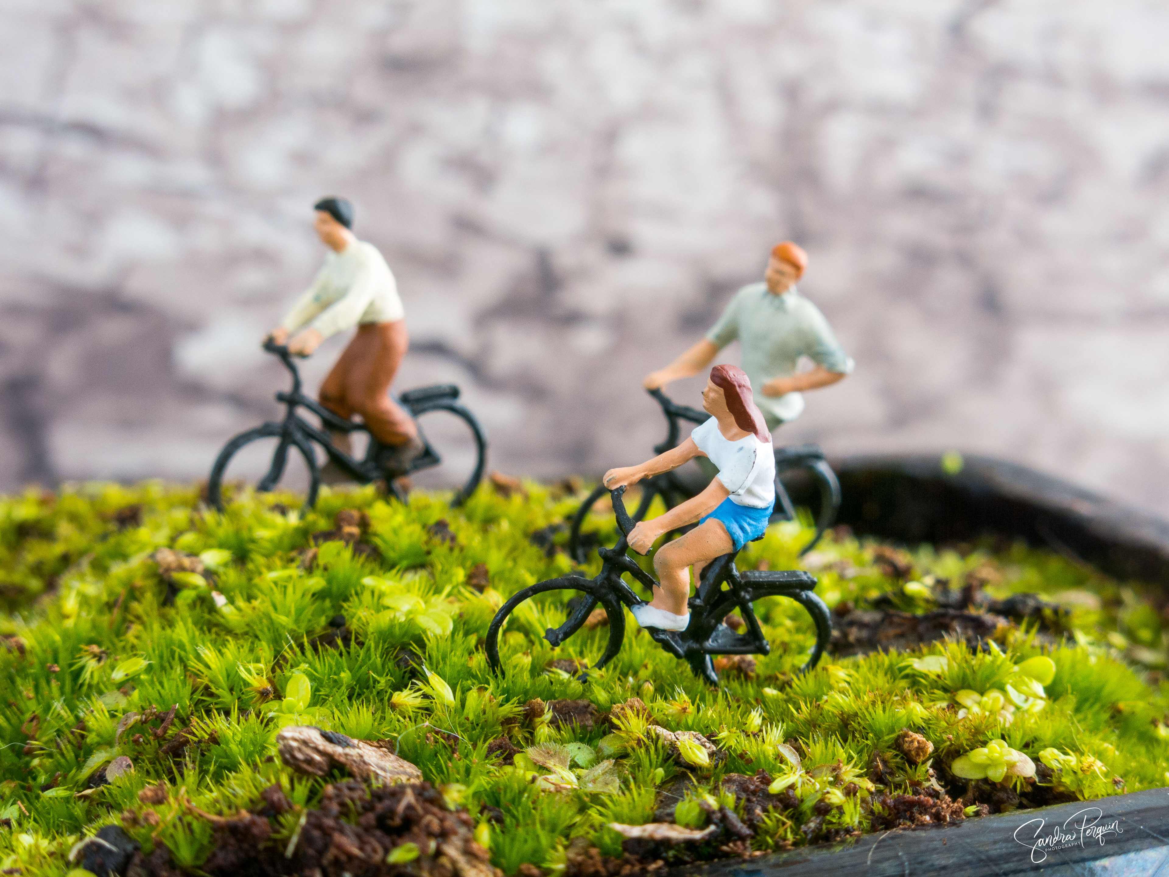 Bike tour