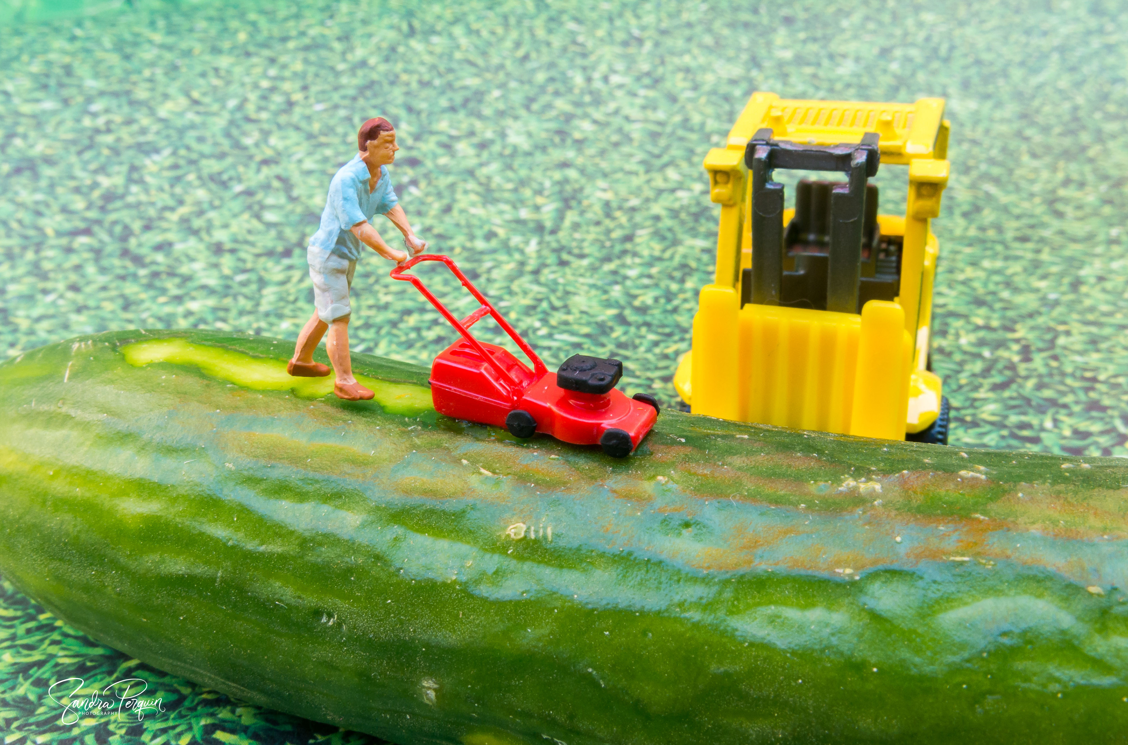 Mowing