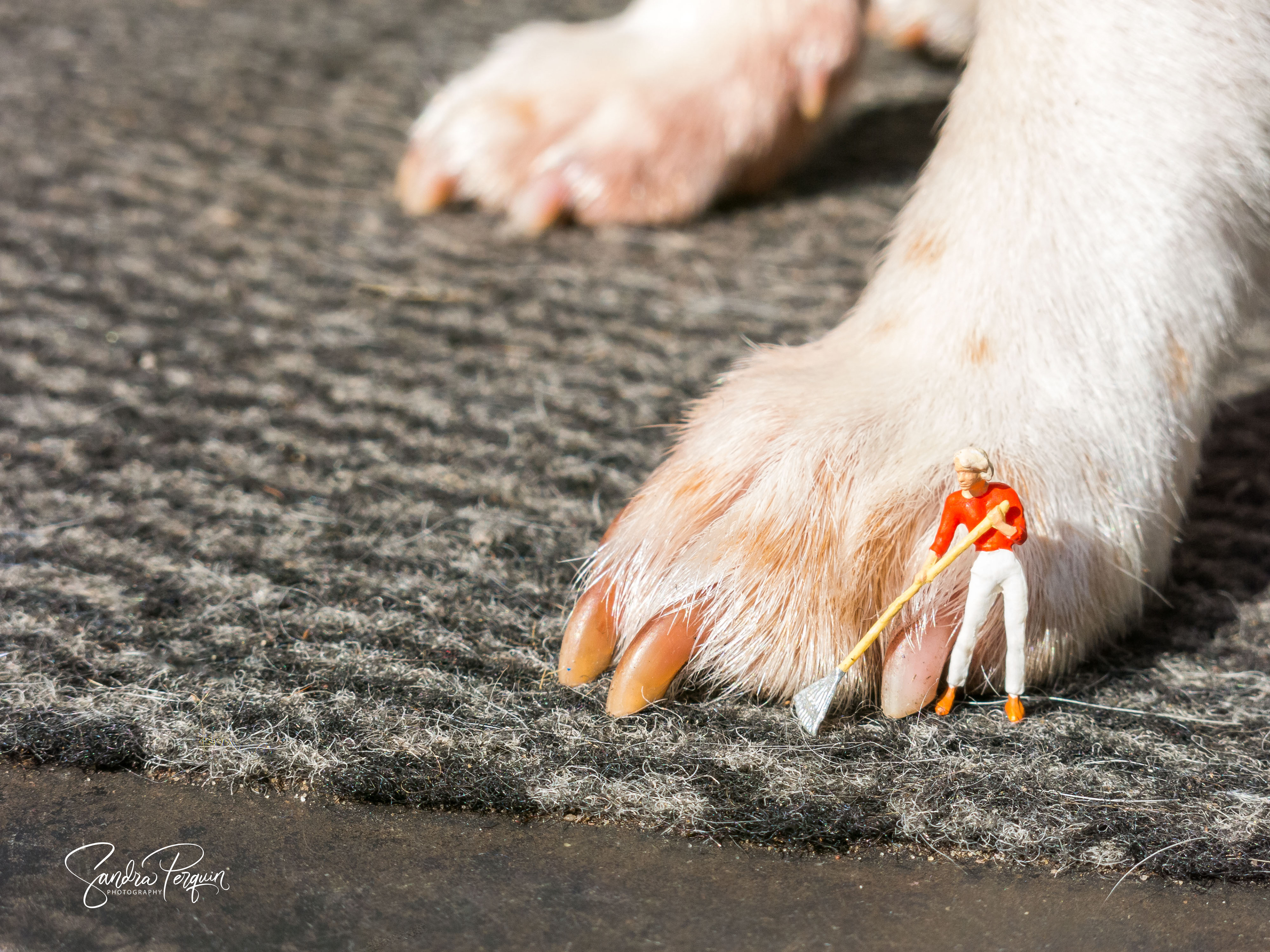 Manicure