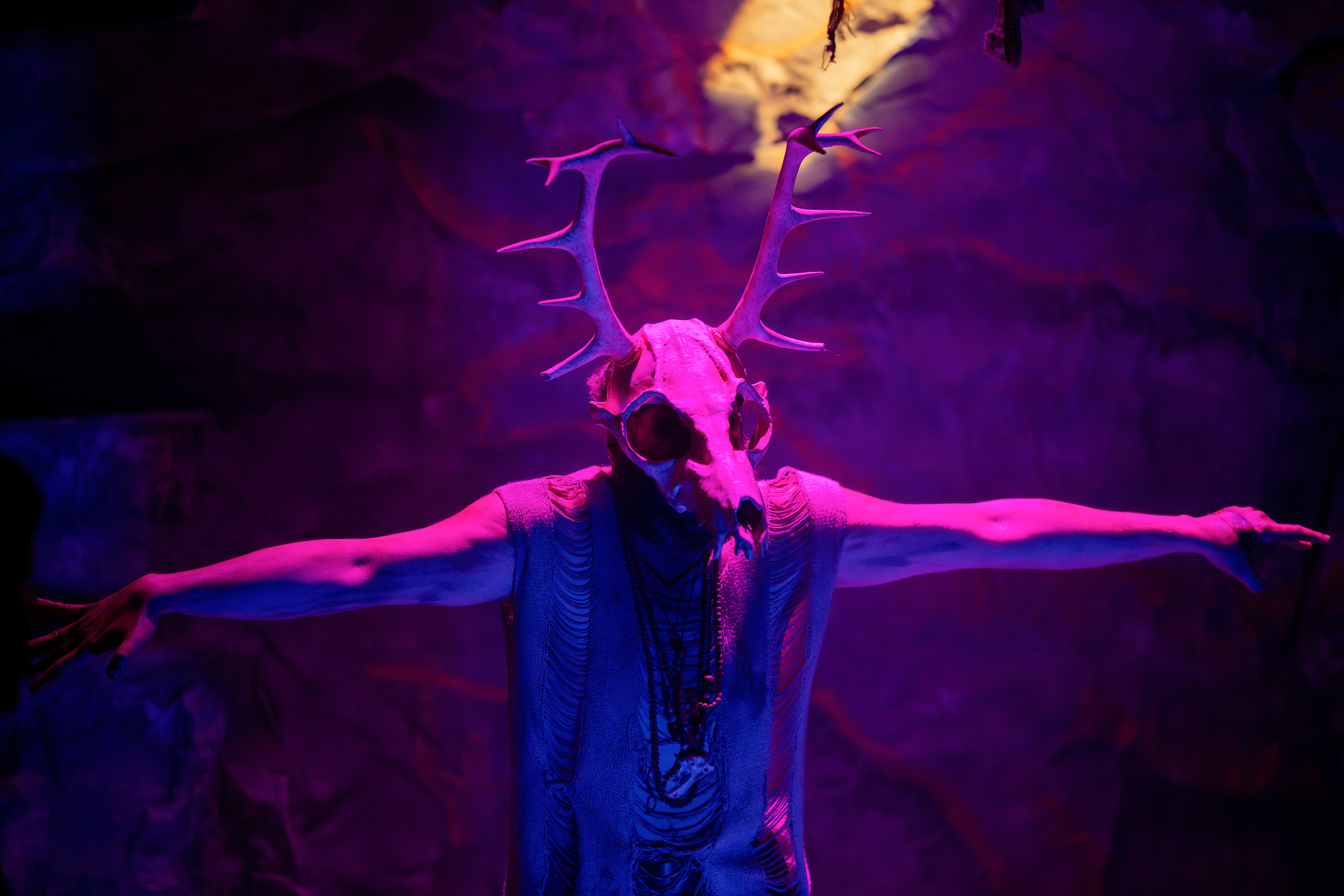 The Shitheads (2026)