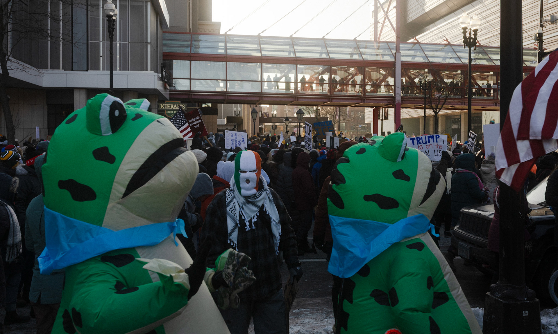 The Man in the Mask and the Frogs