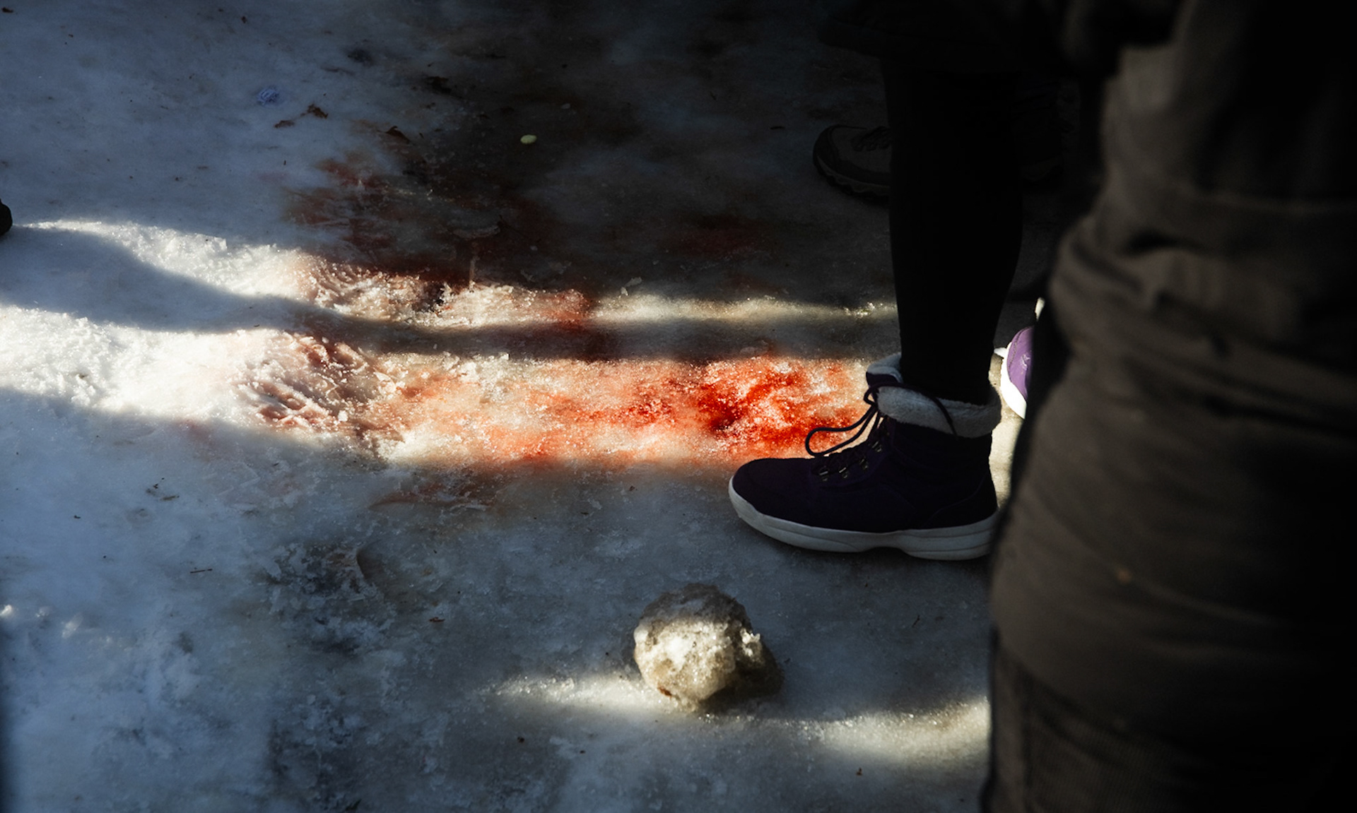 The Remains of Renée Good