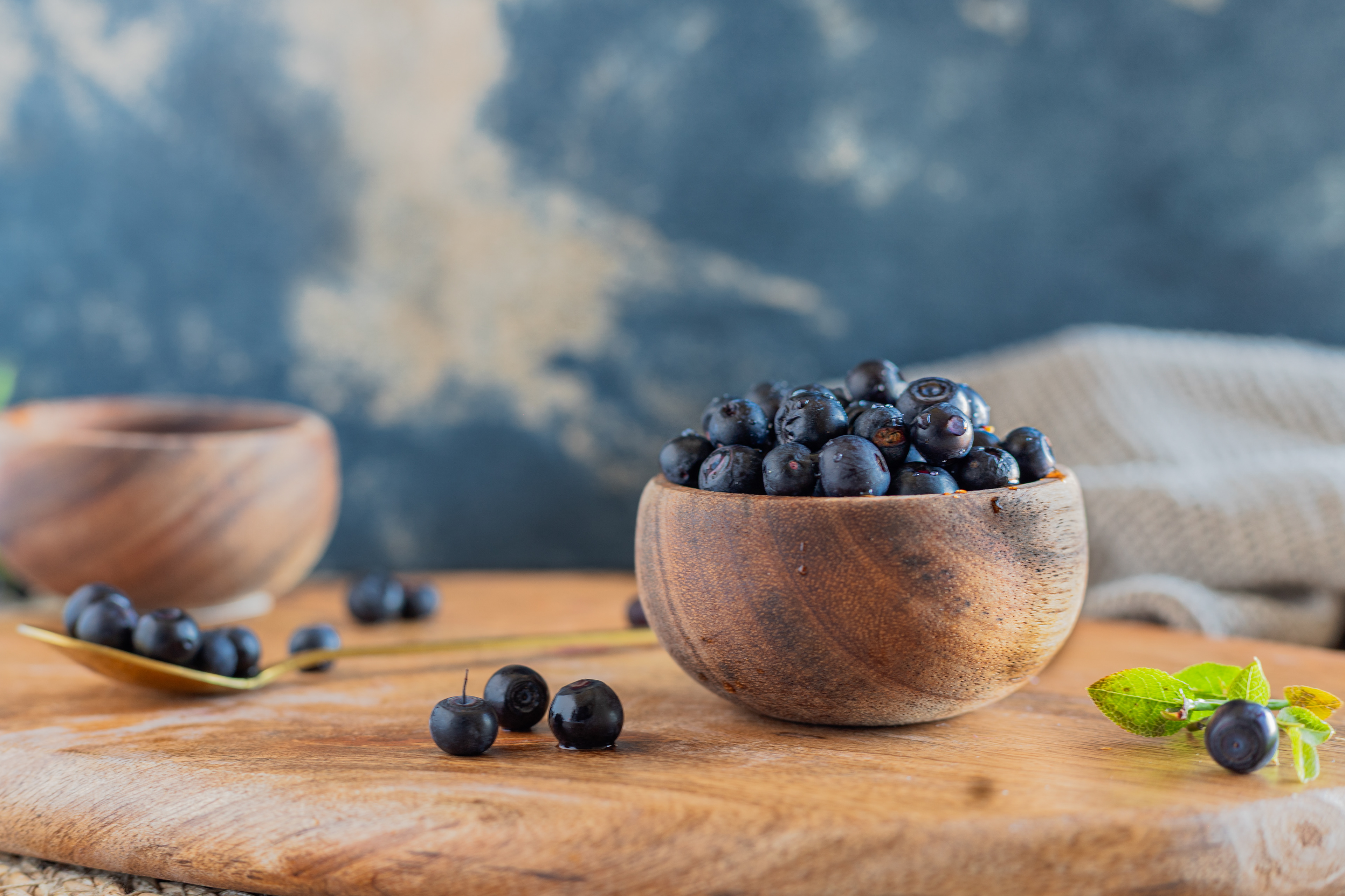 Blueberries in a bowl, food photography
