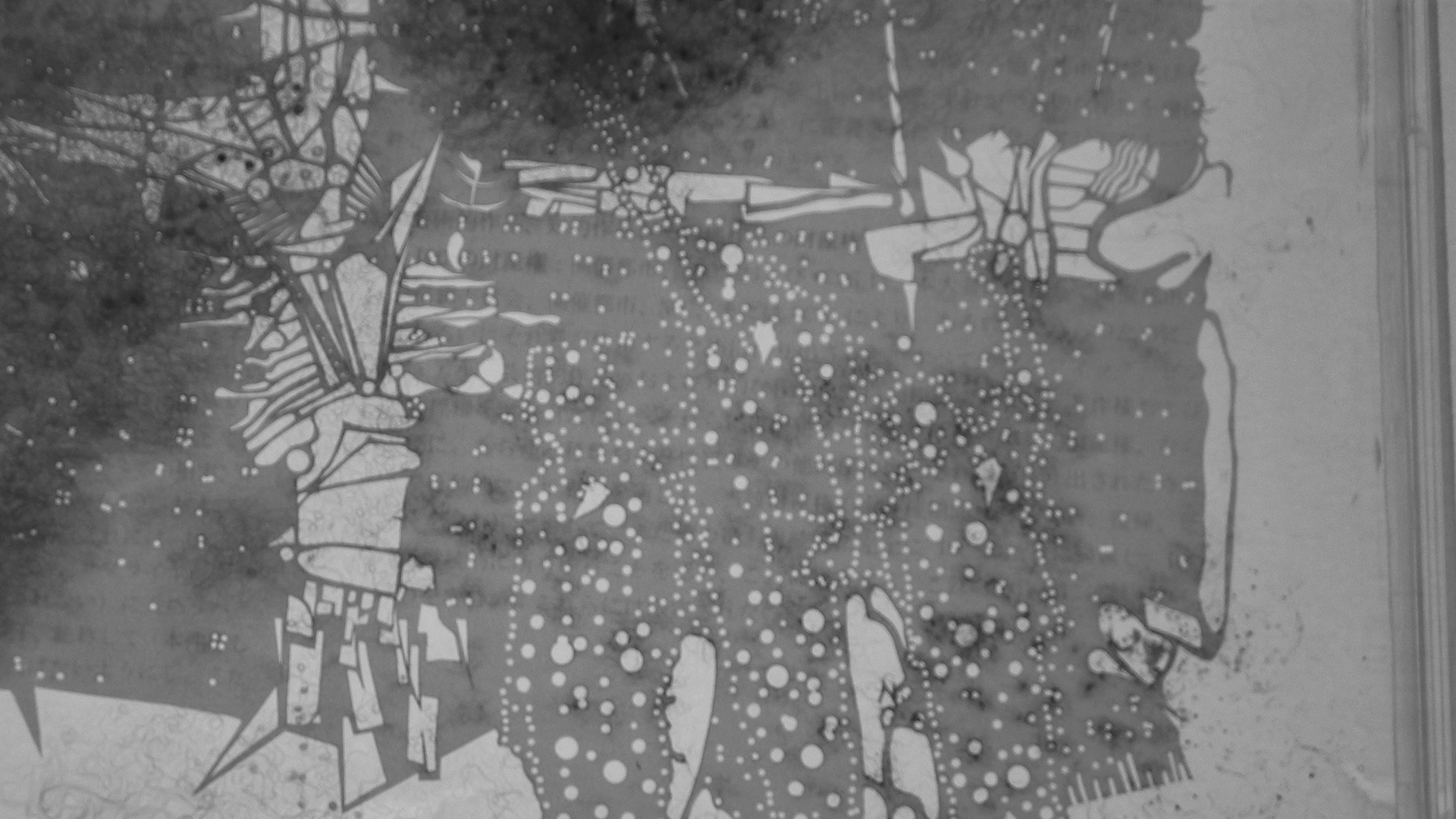 The black power salute in 1968 Olympics by Tommie Smith and John Carlos with Peter Norman (Mexico-City).