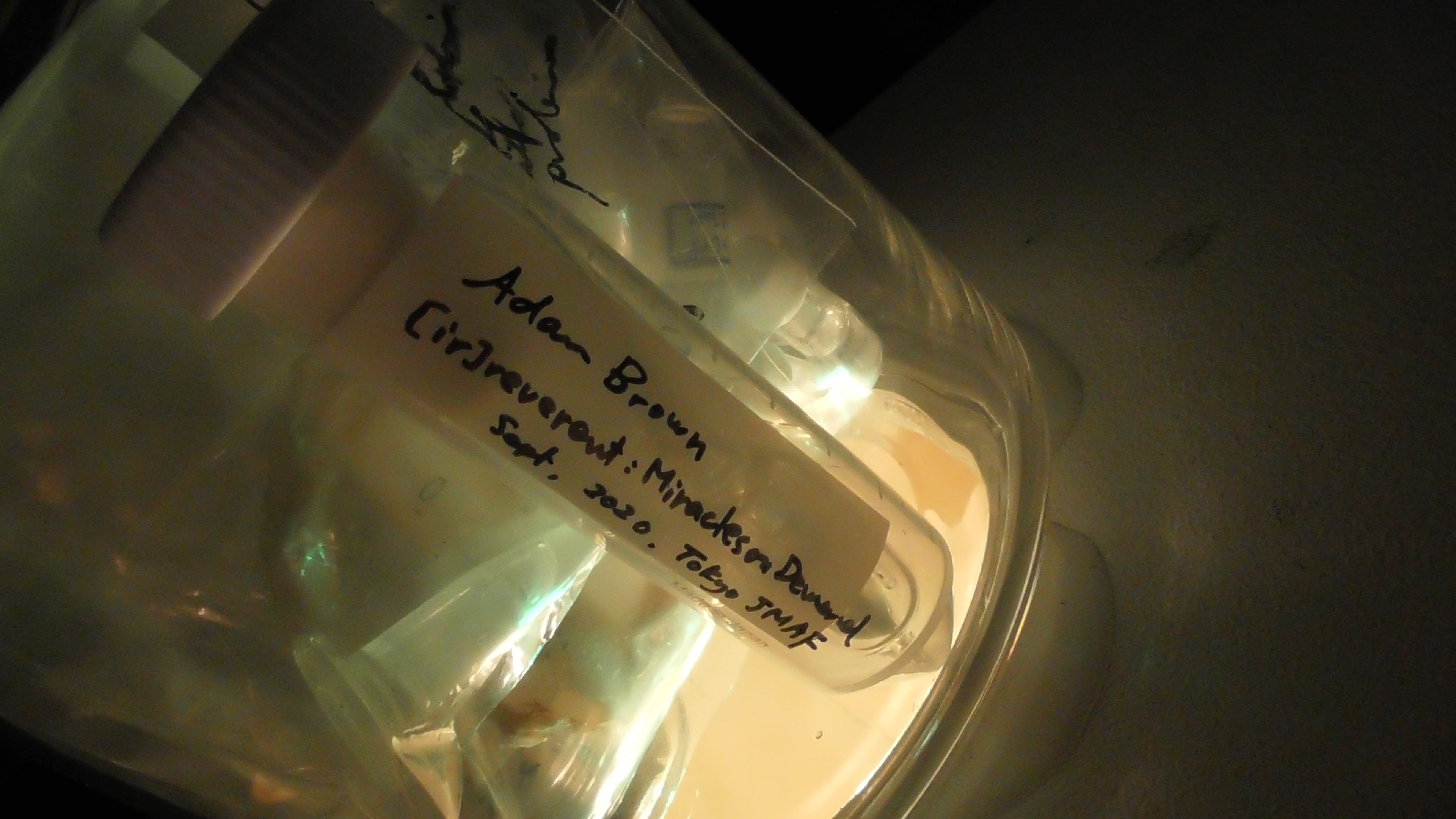 "metaPhorest Biome", Shinjuku White House, Tokyo, July 6-28, 2024