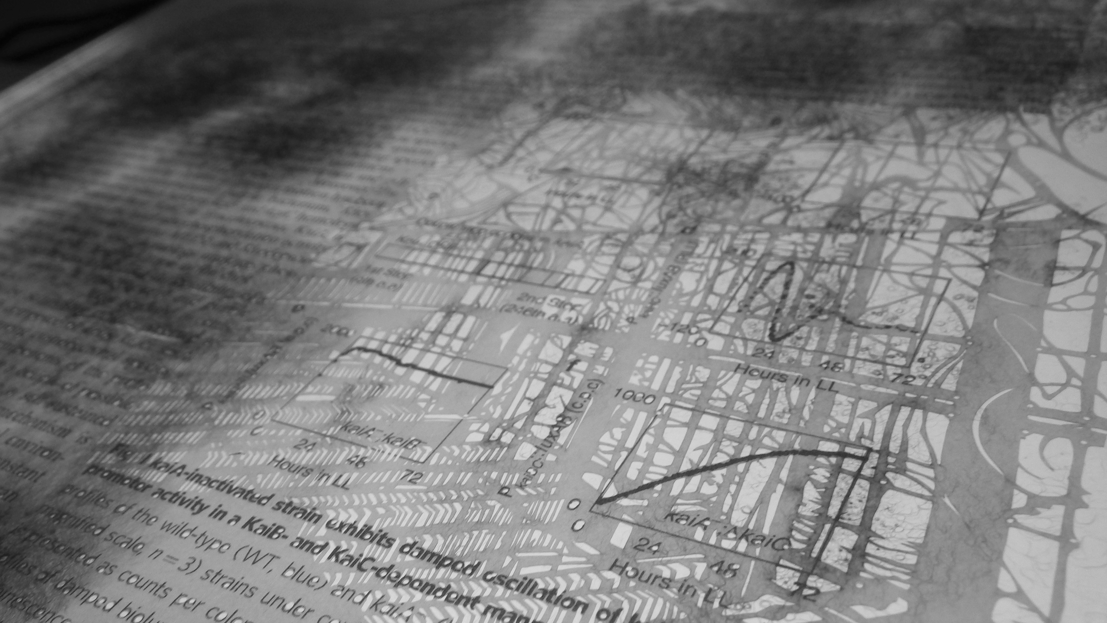 県立図書館の吹き抜けの閲覧スペースをモチーフとした意匠