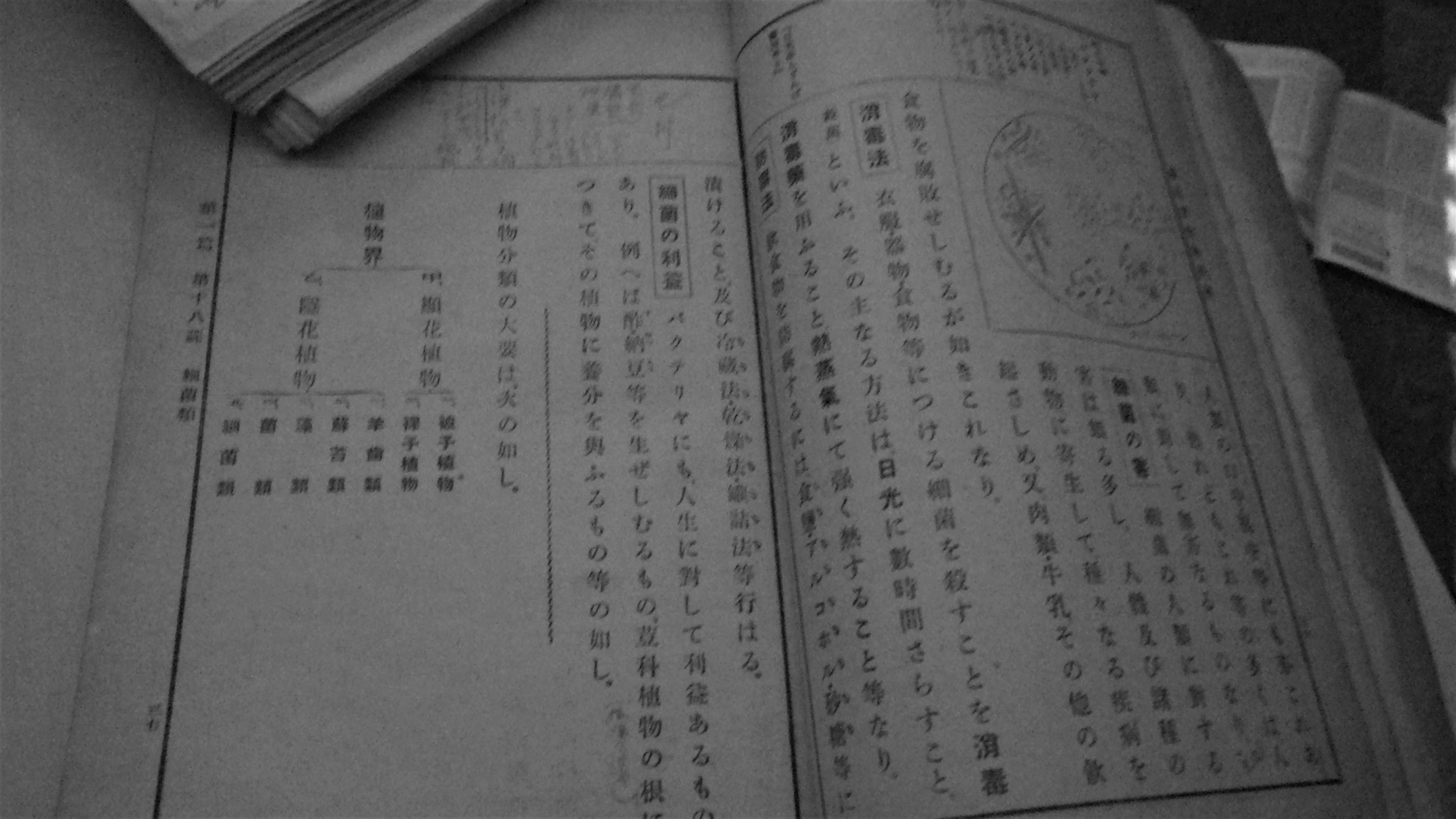 緒方正規編纂の昭和初期の生物学教科書のバクテリアの記述。