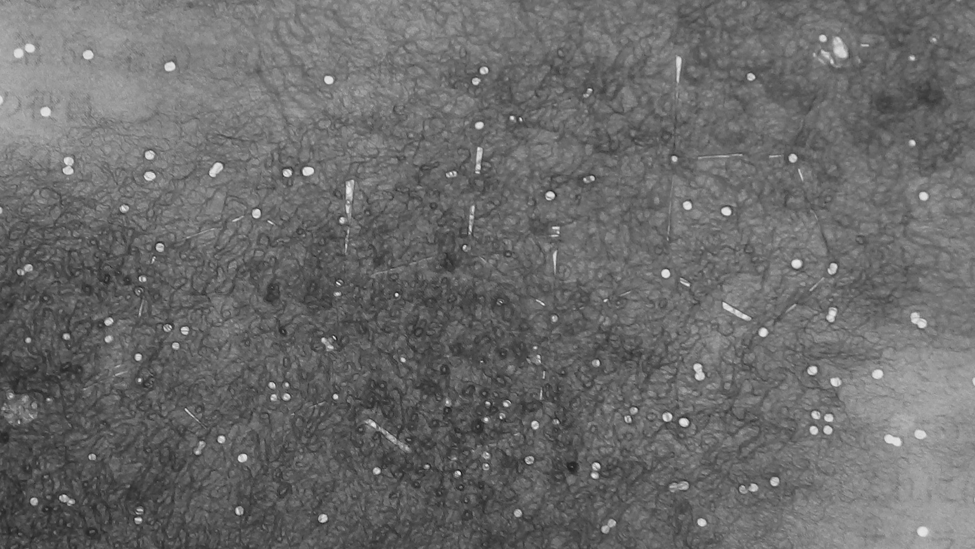 Chemical structure of testosteron.
