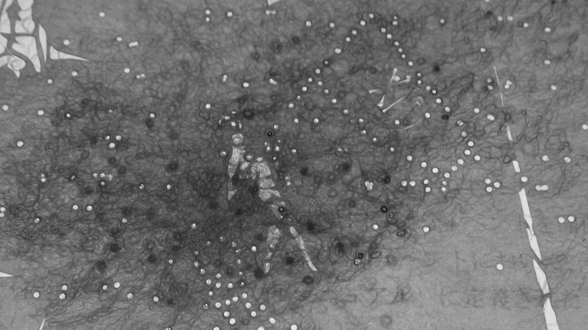 The flag bearer at the opening ceremony of the 11th Summer Olympics in Berlin (1936). The original Nazis swastika was replaced to "XIe" here.