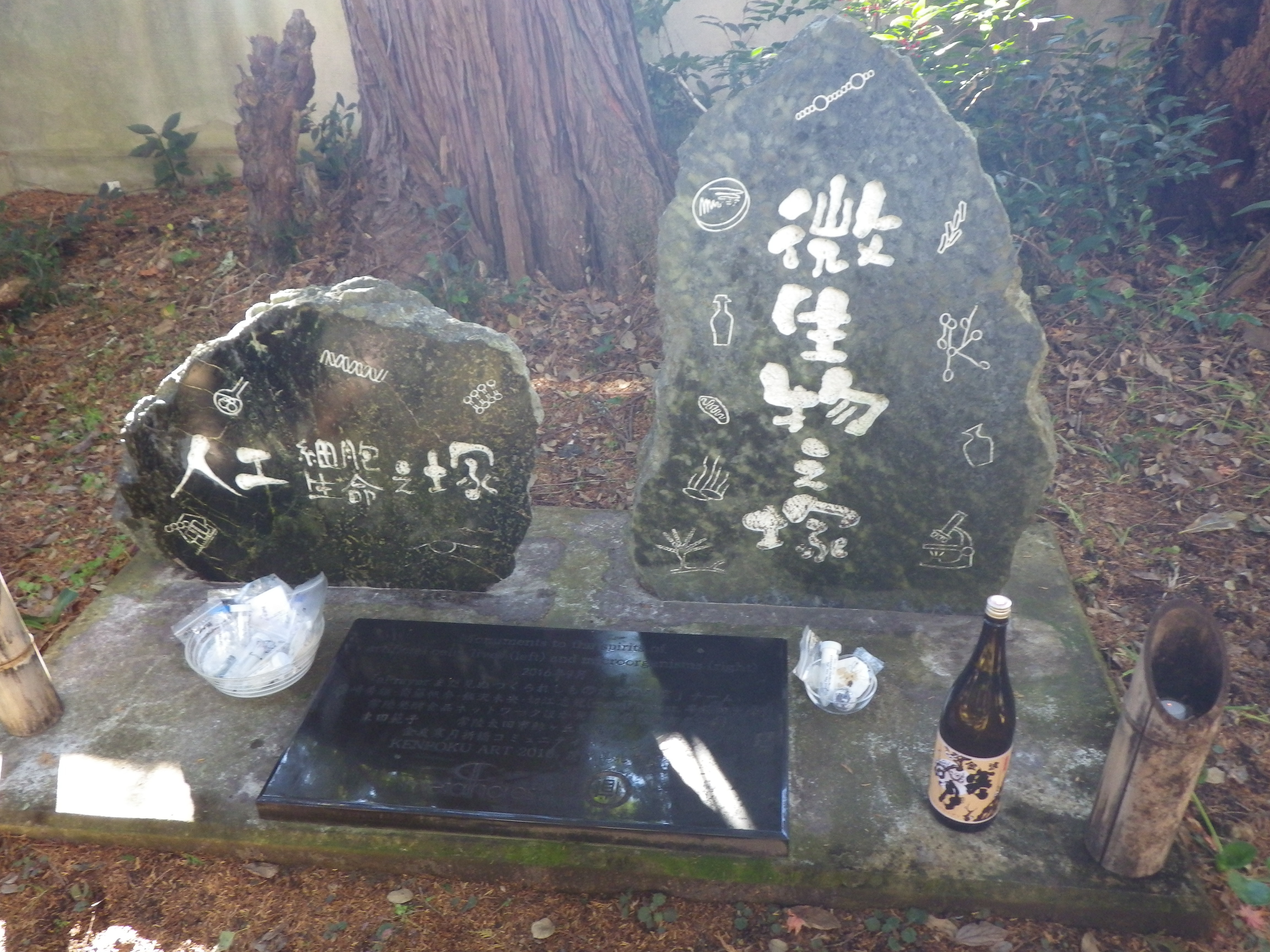 5th anniversary meeting, Hitachi-Ohta, Japan, Dec 18, 2021