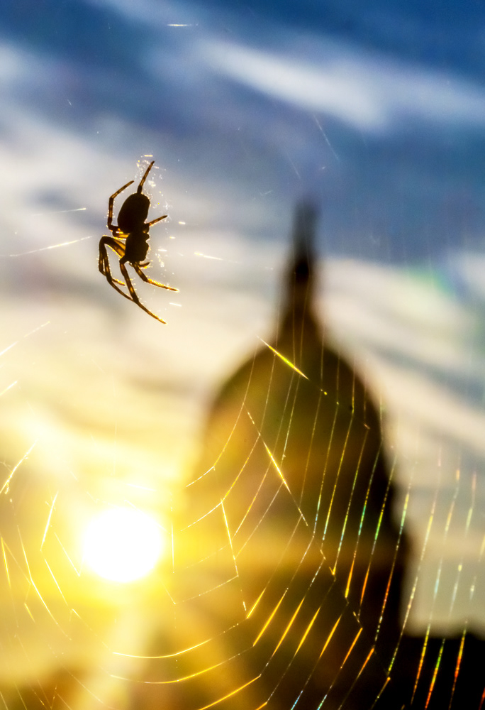 2020 Sunrise with Charlotte with Sony A6600