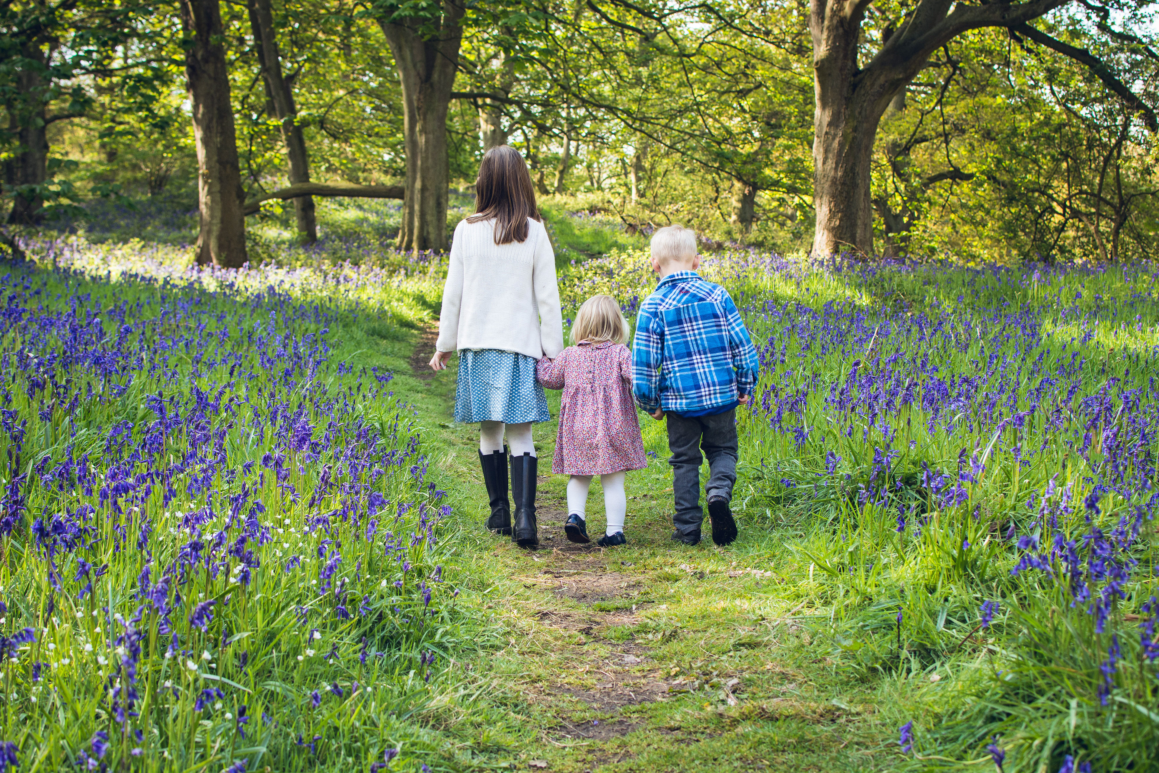 Roseberry woods