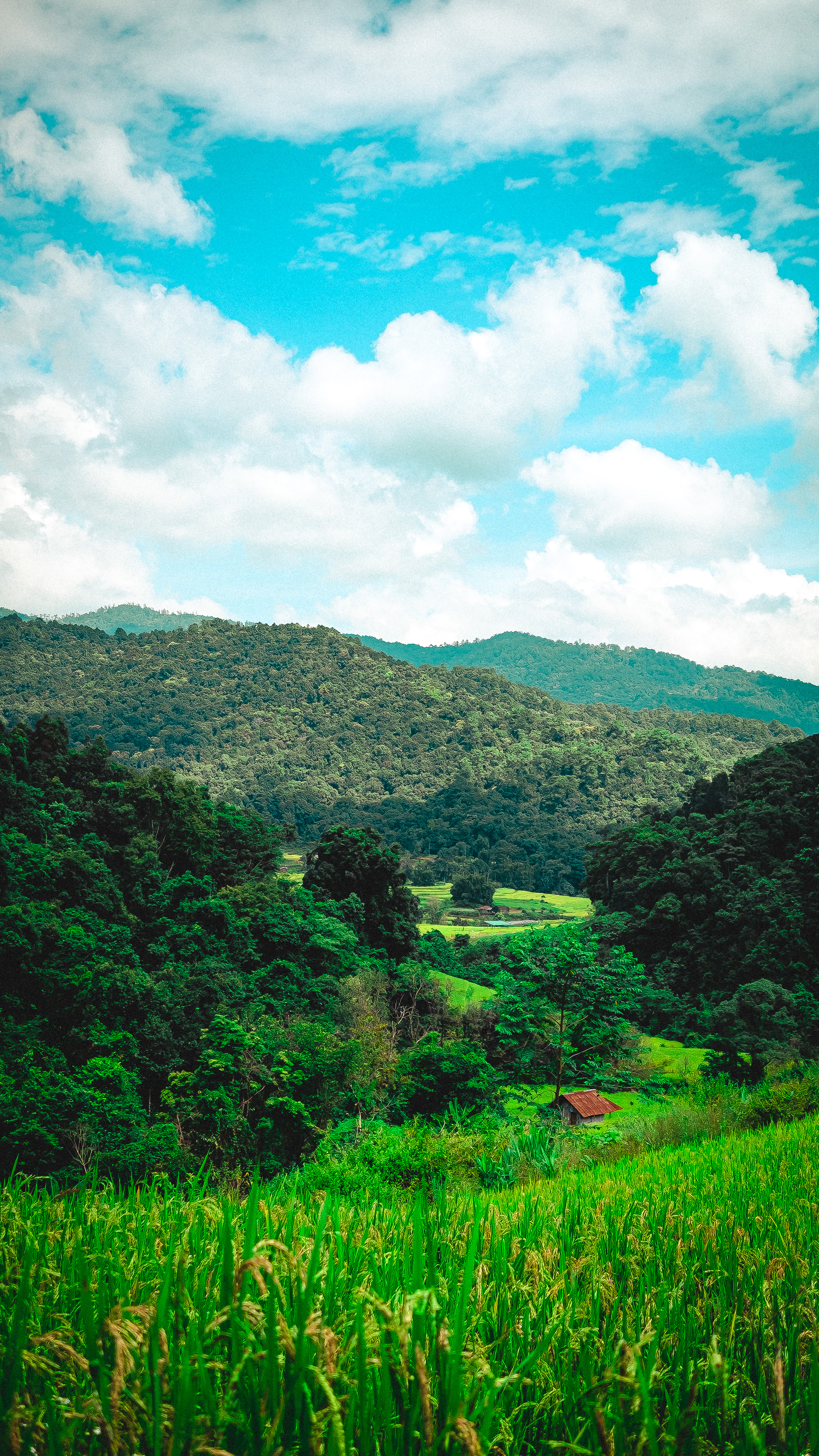 Doi Inthanon, Chiang Mai Province, Thailand