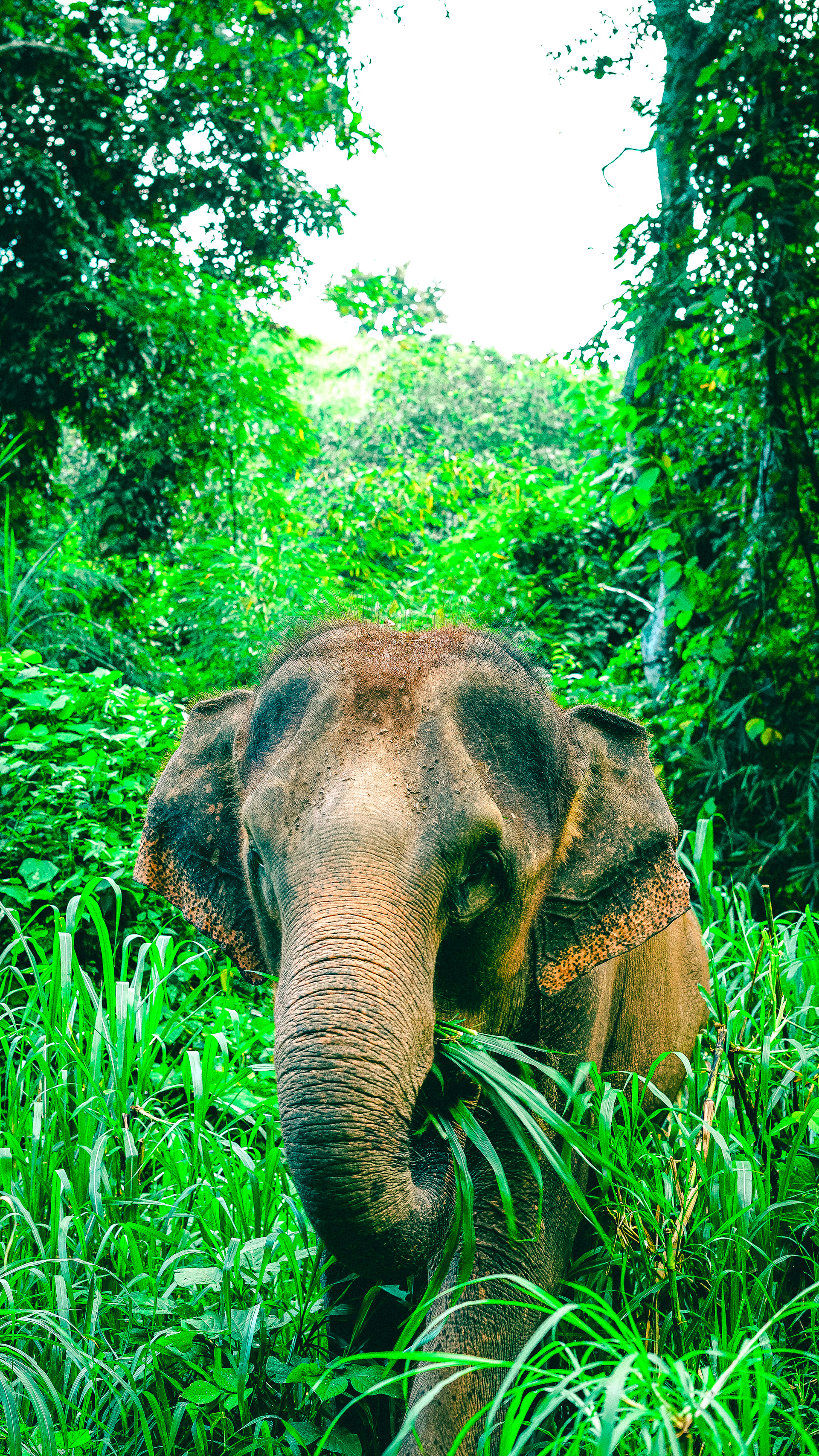 Chiang Mai Province, Thailand